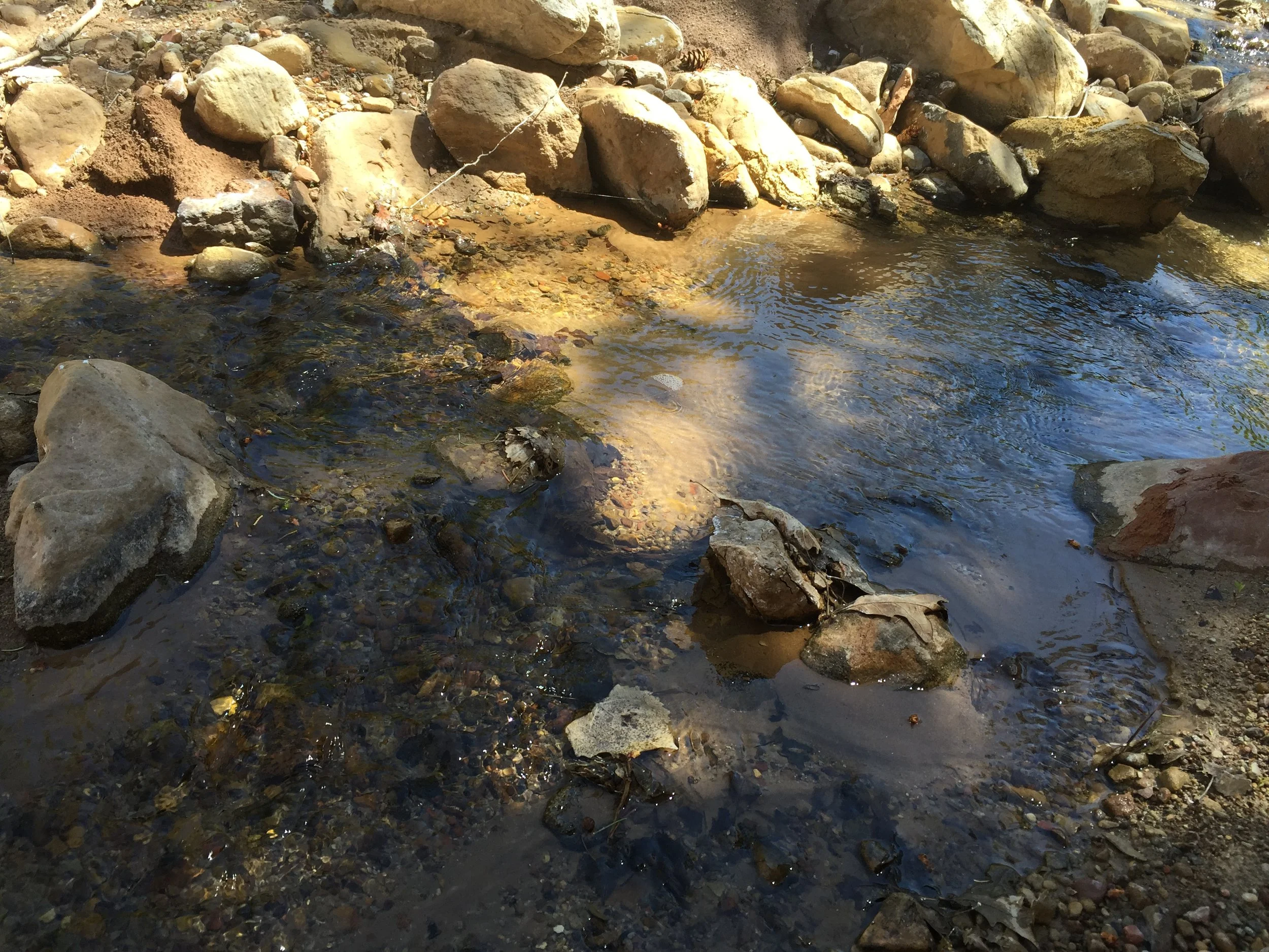 Morning Meditation Sit 2018-06-07