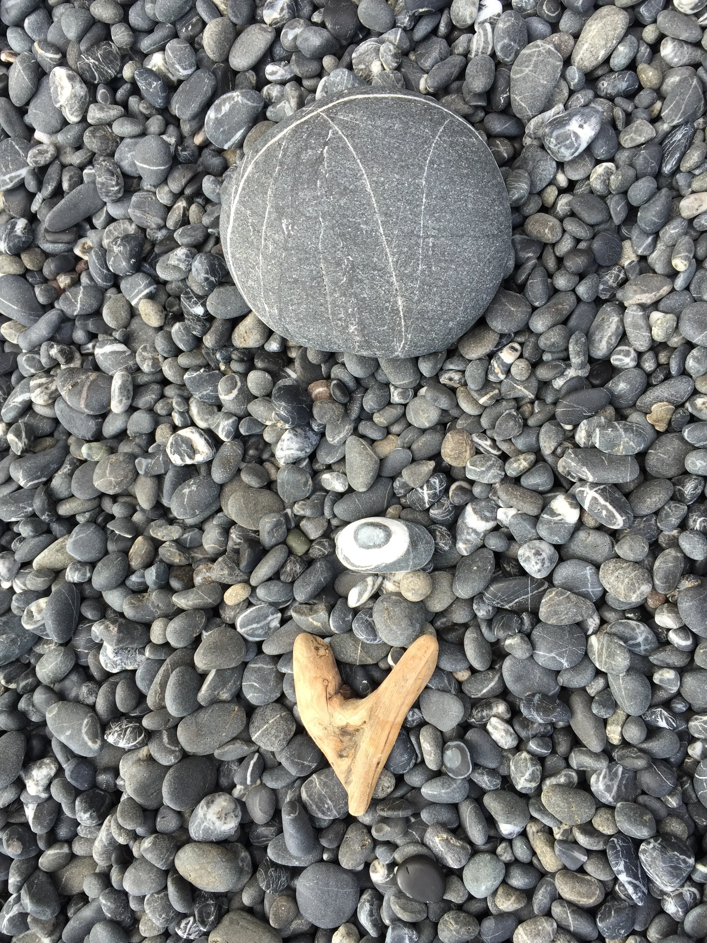 Morning Meditation Sit 2018-07-05