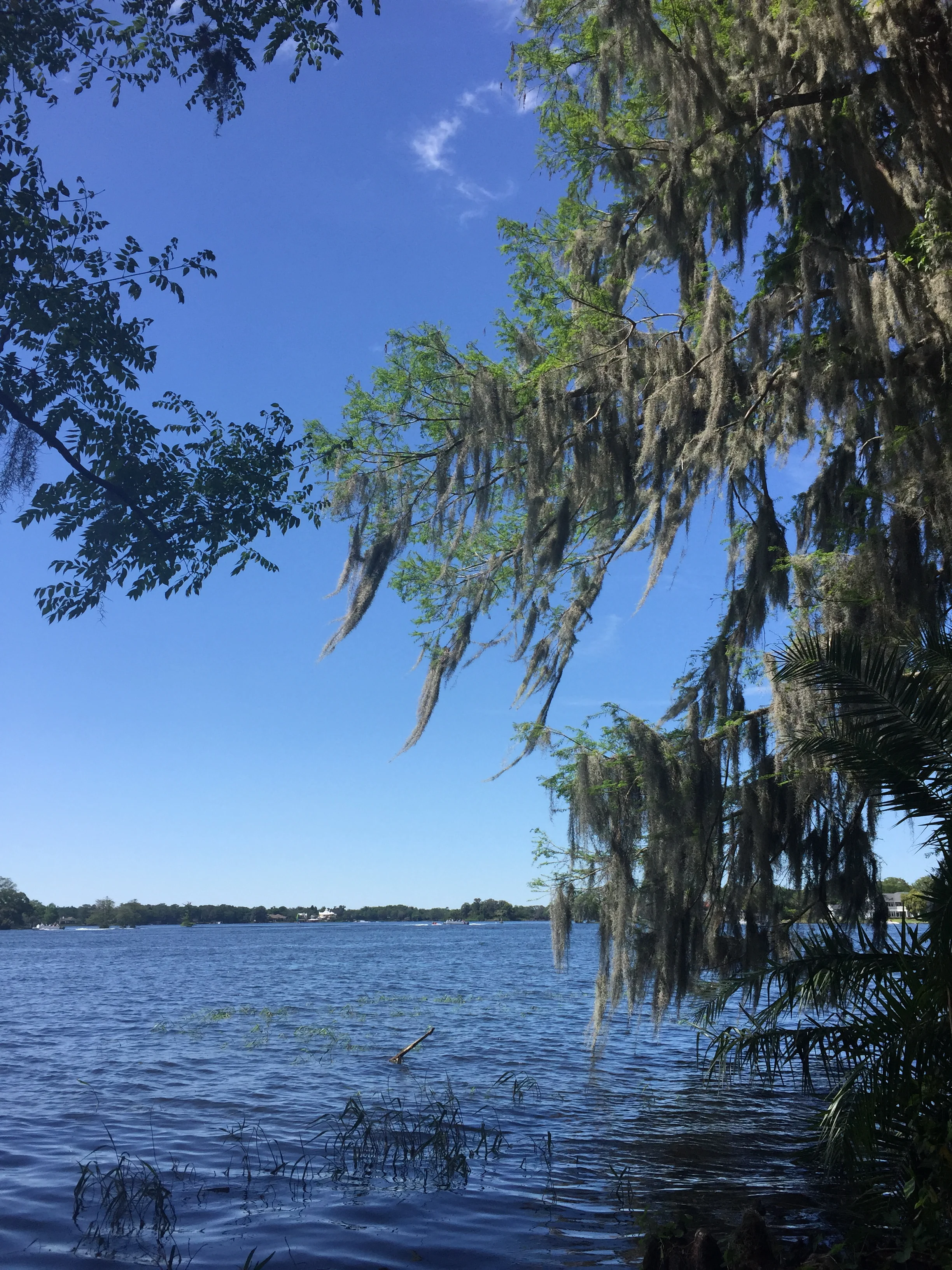 Morning Meditation Sit 2018-07-12