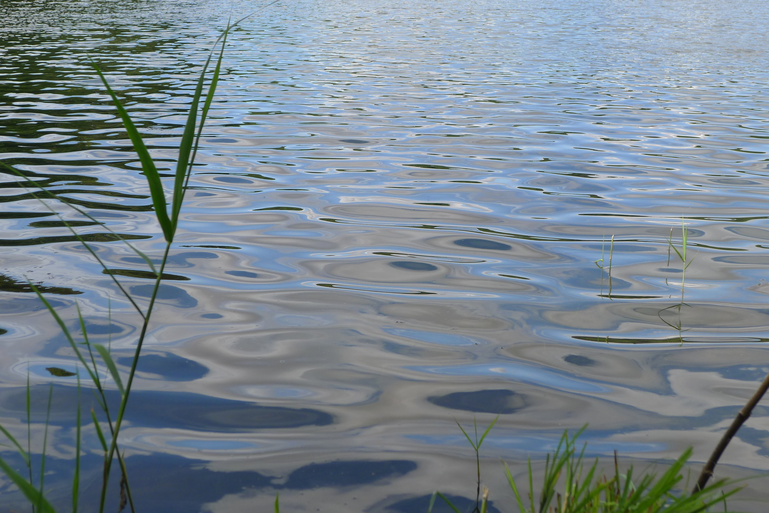 Morning Meditation Sit 2018-08-02