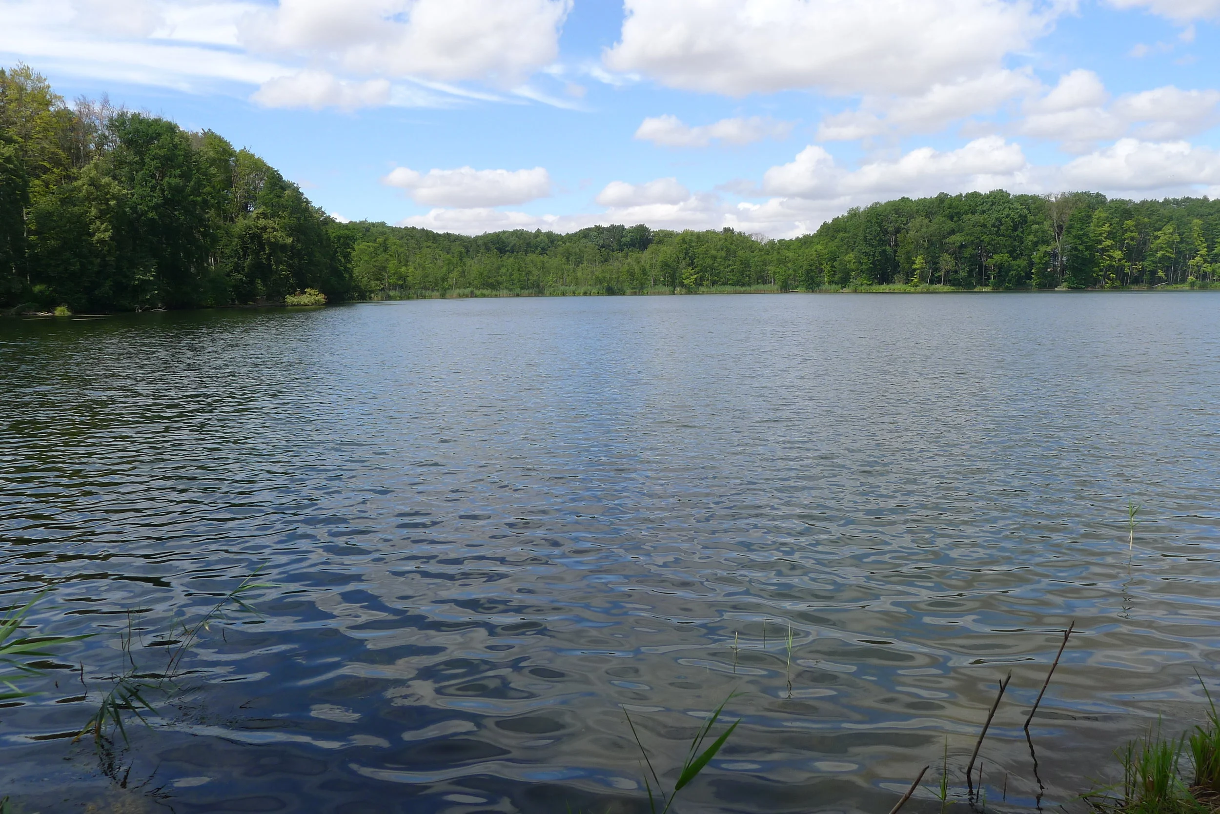 Video: Month of Elul 