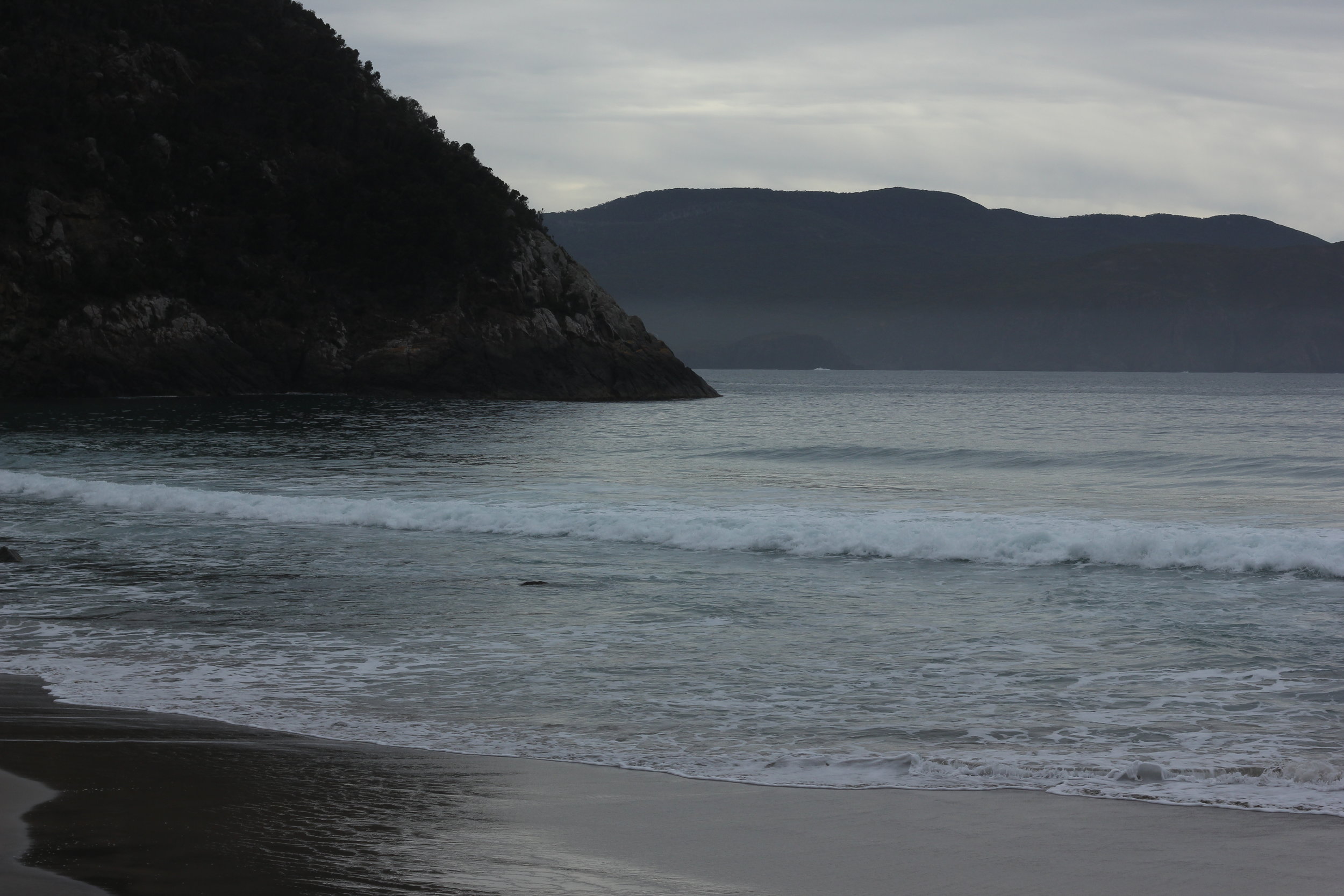 Morning Meditation Sit 2018-11-01 