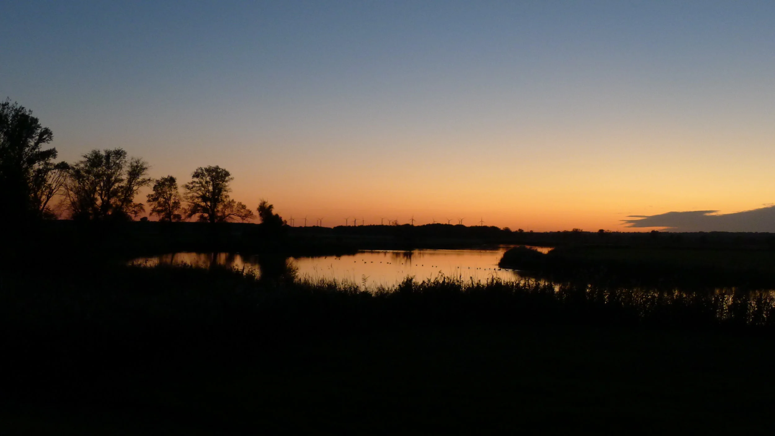 Morning Meditation Sit 2018-11-15 / 7 Kislev 5779