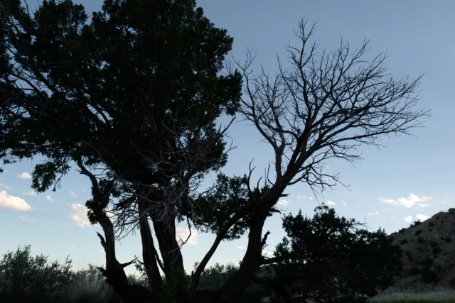 5779 Chanukah - Lifting Up the Lights:  A Rededication to the Sacred