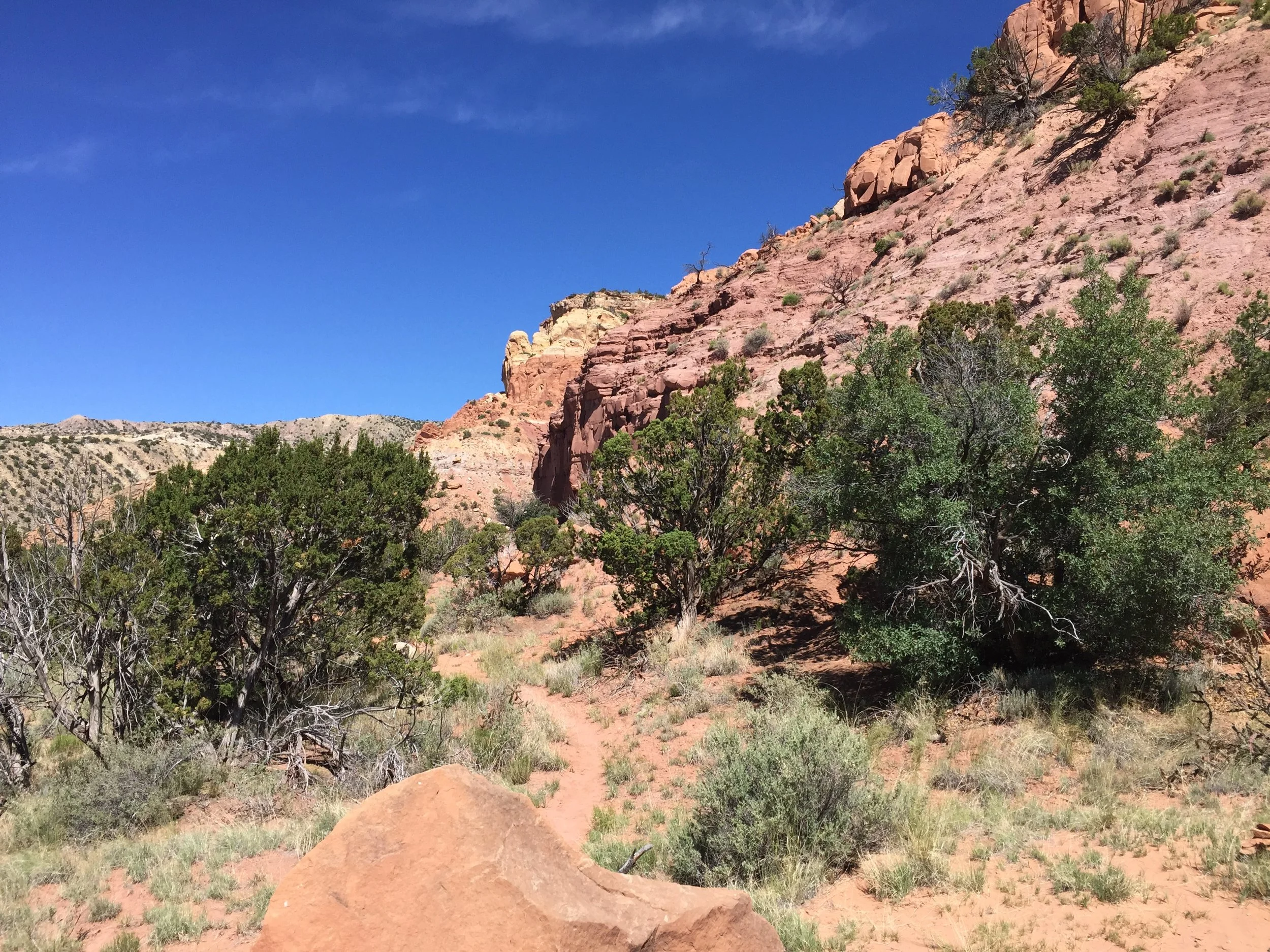 Morning Meditation Sit – Tevet Week 1 – Parashat Vayigash 