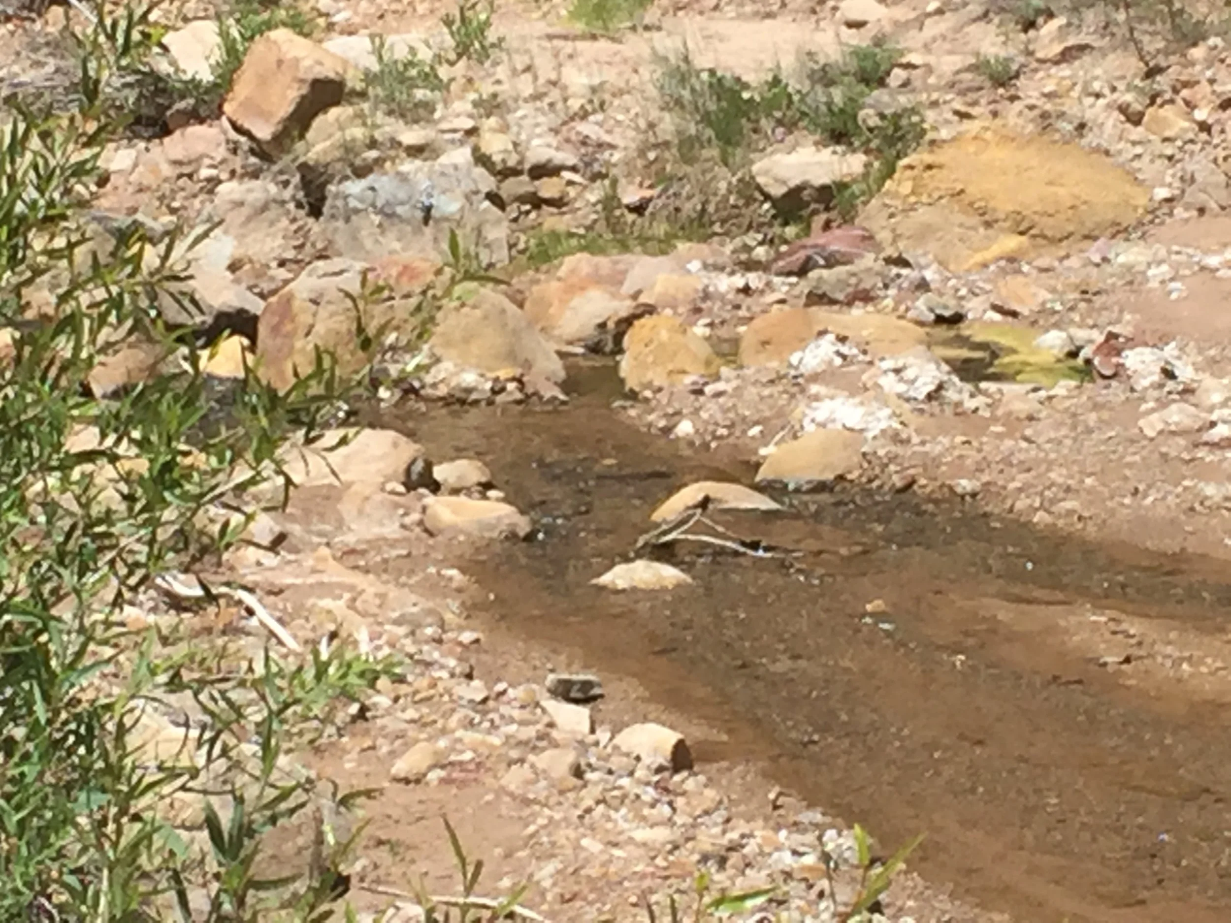 Morning Meditation Sit - Tevet Week 2 - Winter Solstice 