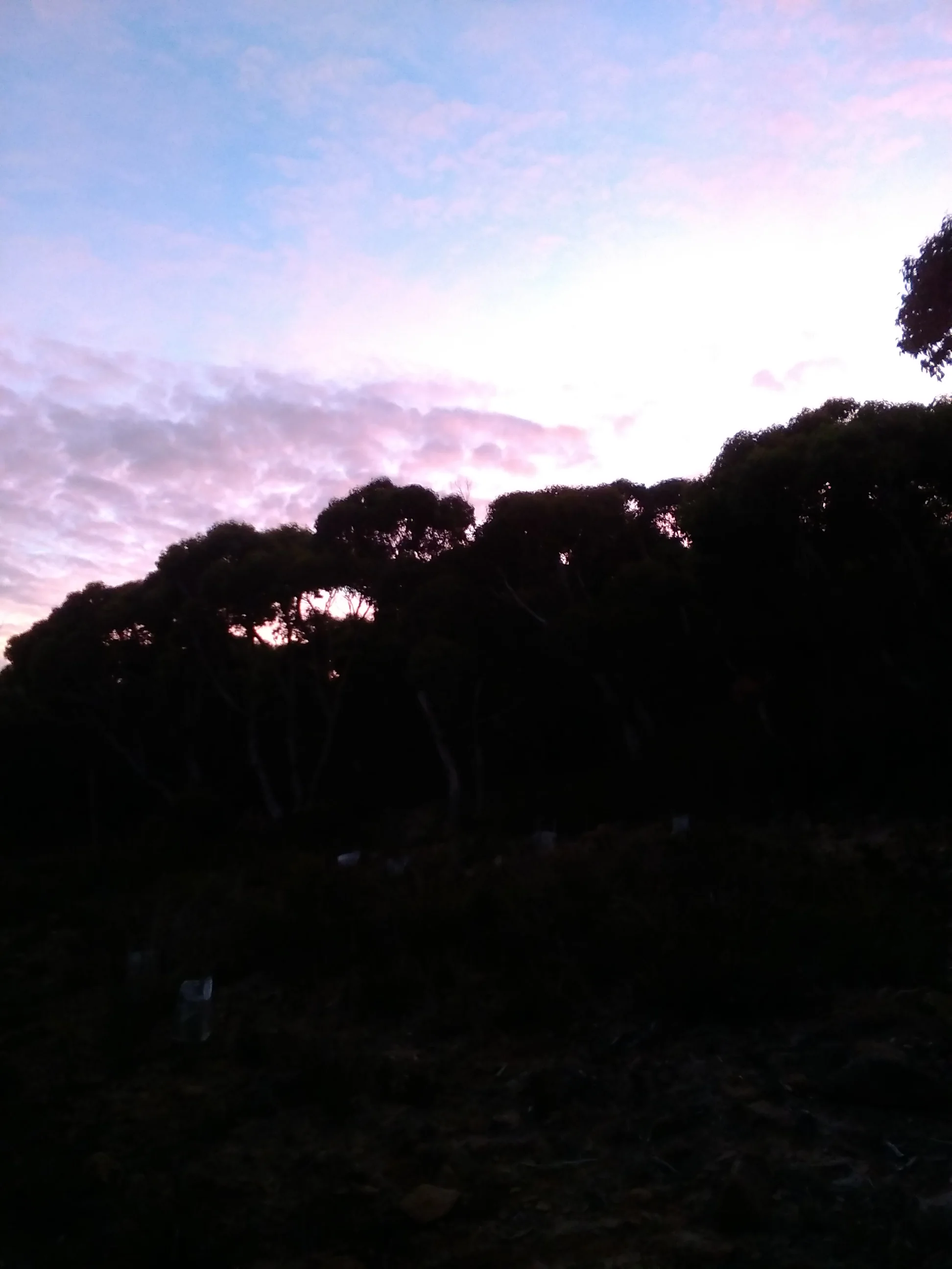 Morning Meditation Sit — Tevet Week 3 