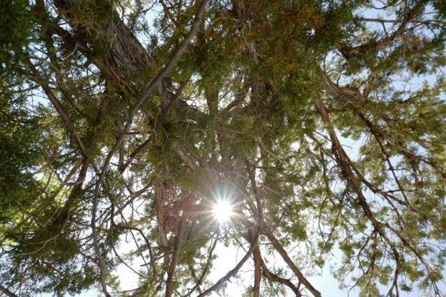 2019 New Year's Eve Intention