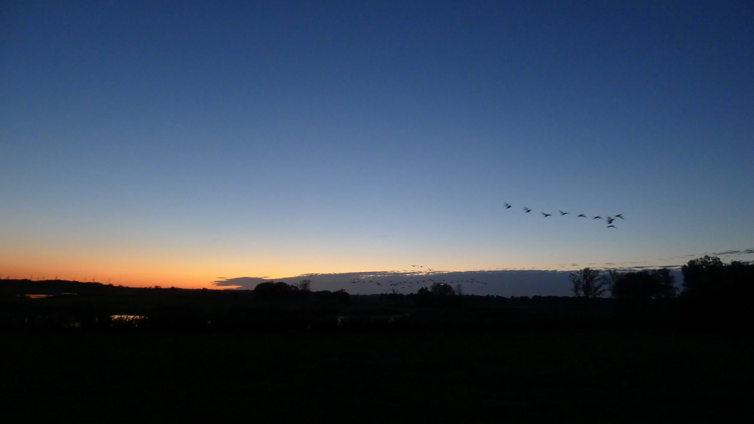 Morning Meditation Sit — Tevet Week 4