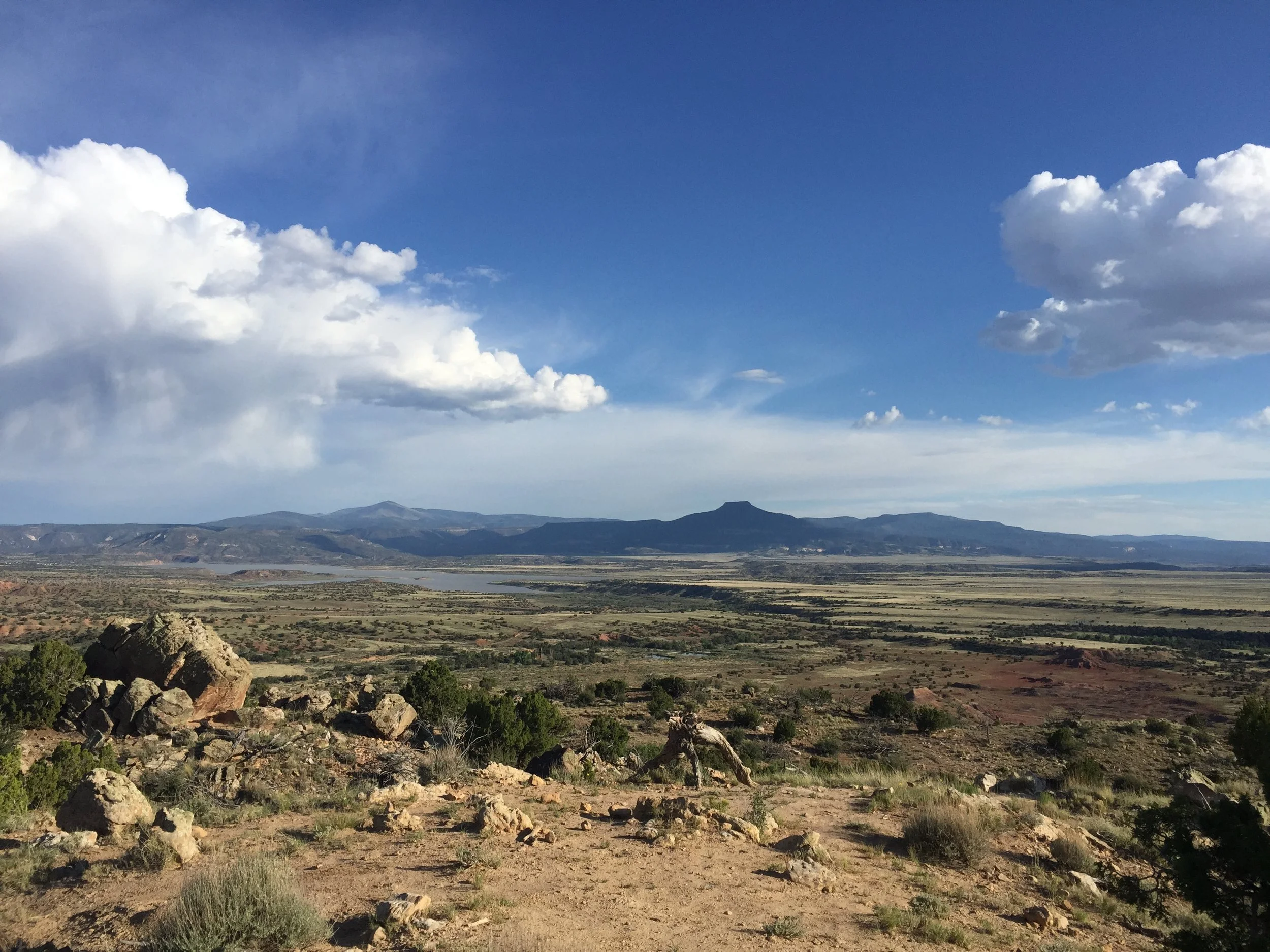 7 Shevat 5779 — Everything We Do Mends the Cosmos