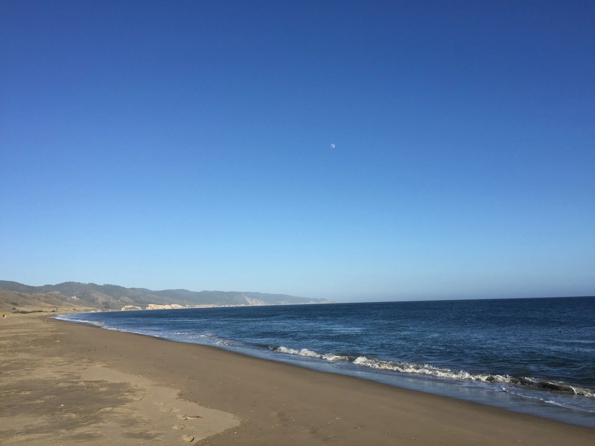 Shevat Week 2 — At the Shores of the Sea 