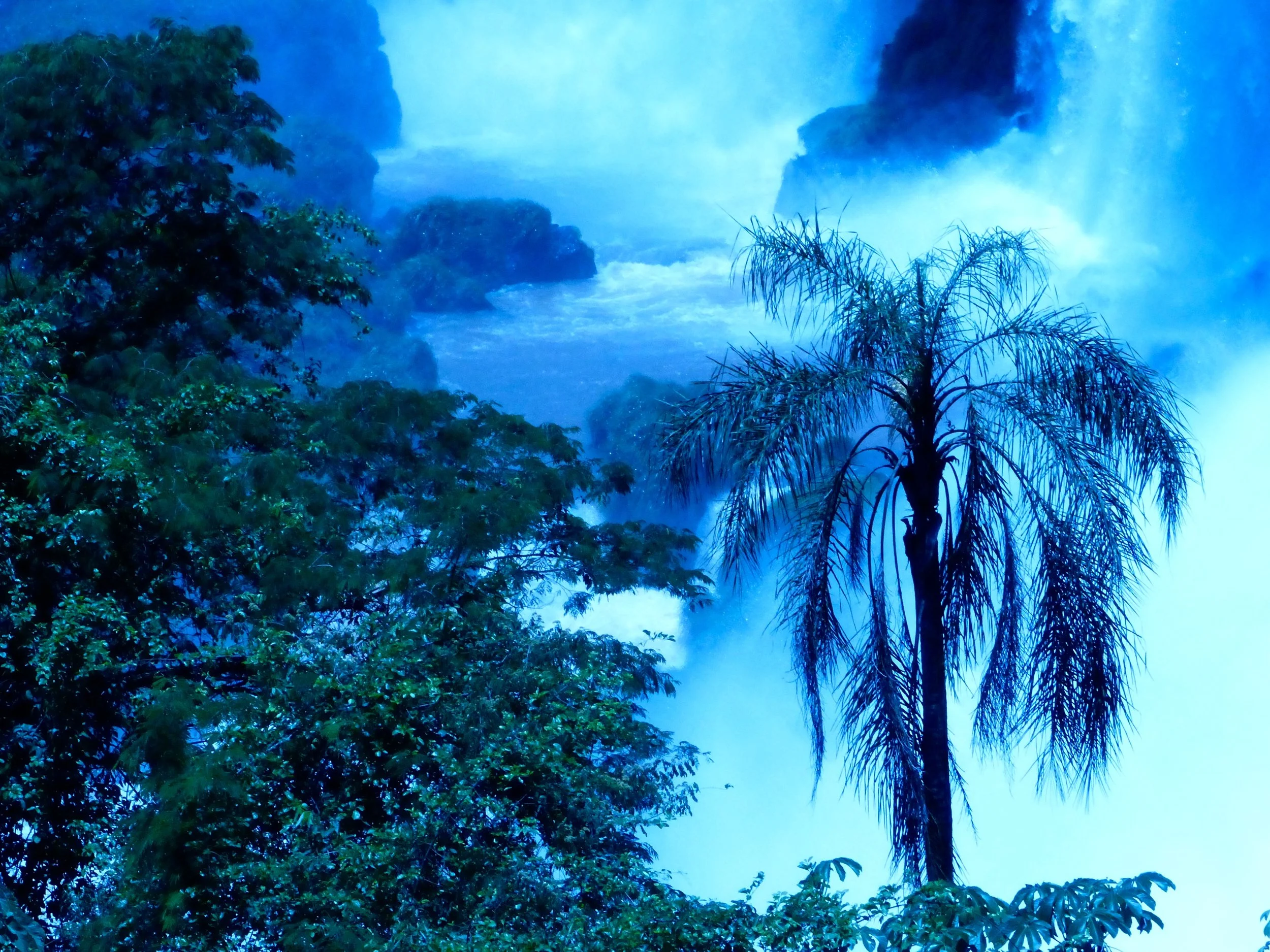 Morning Meditation Sit — Adar I, Week 4