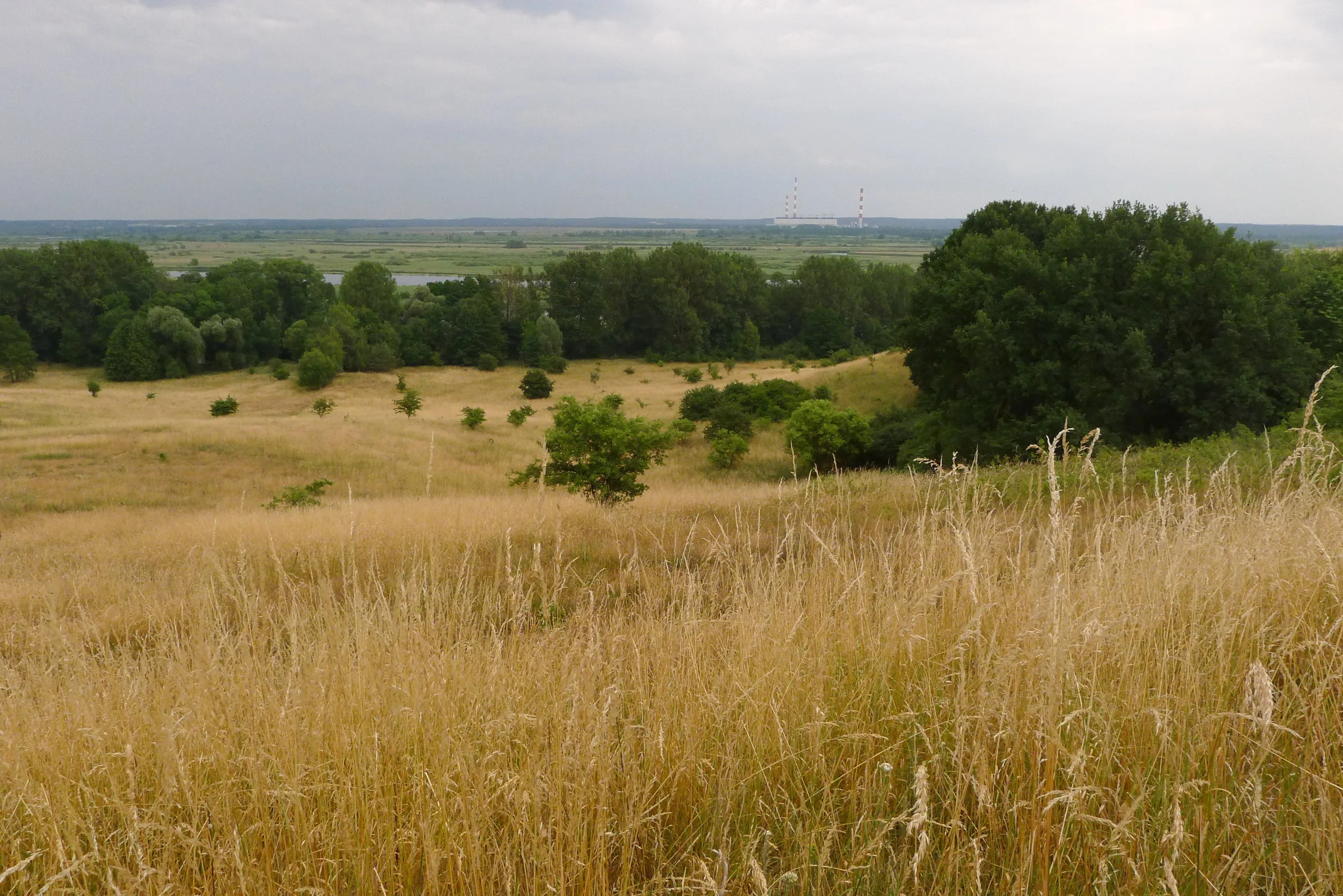 Adar I , Week 4 — Stop, Pause, Rest