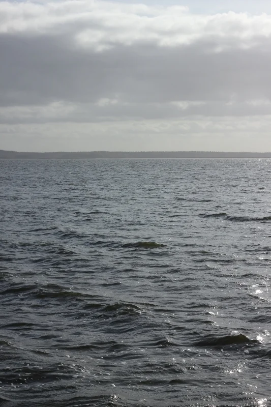 Morning Meditation Sit — Adar II, Week 1