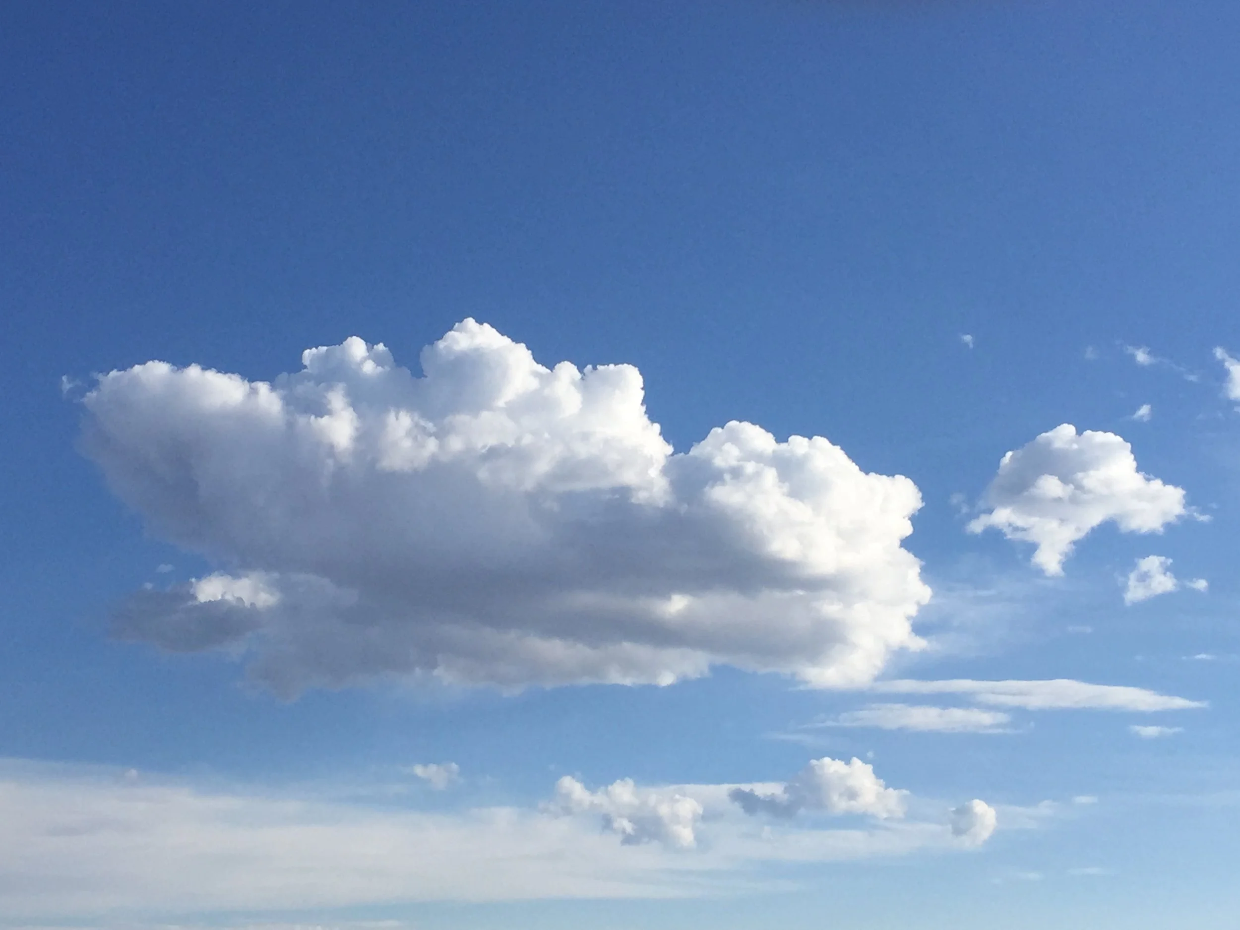 Adar II, Week 3 — Who Knows?