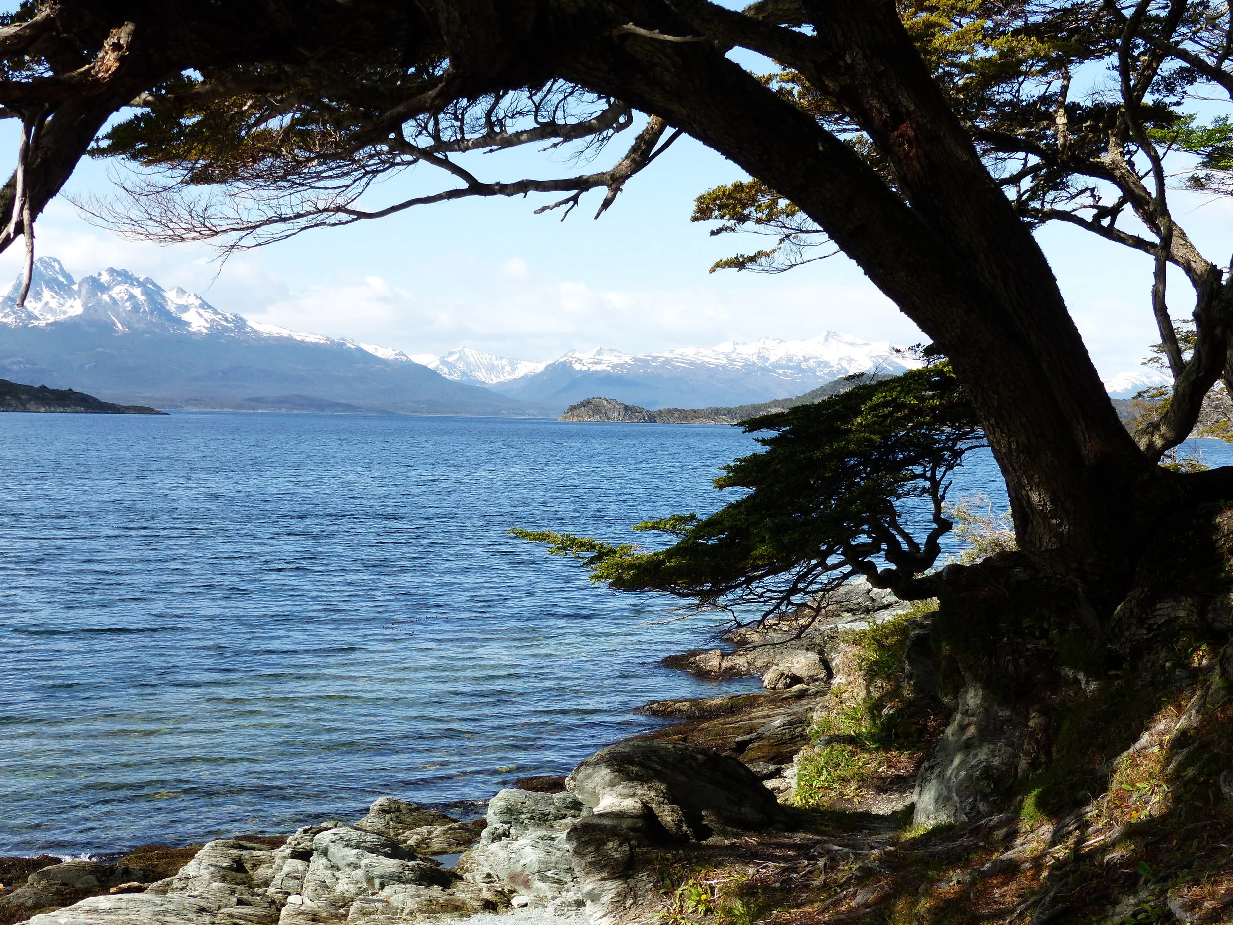 Morning Meditation Sit — Nisan, Week 3, Pesach