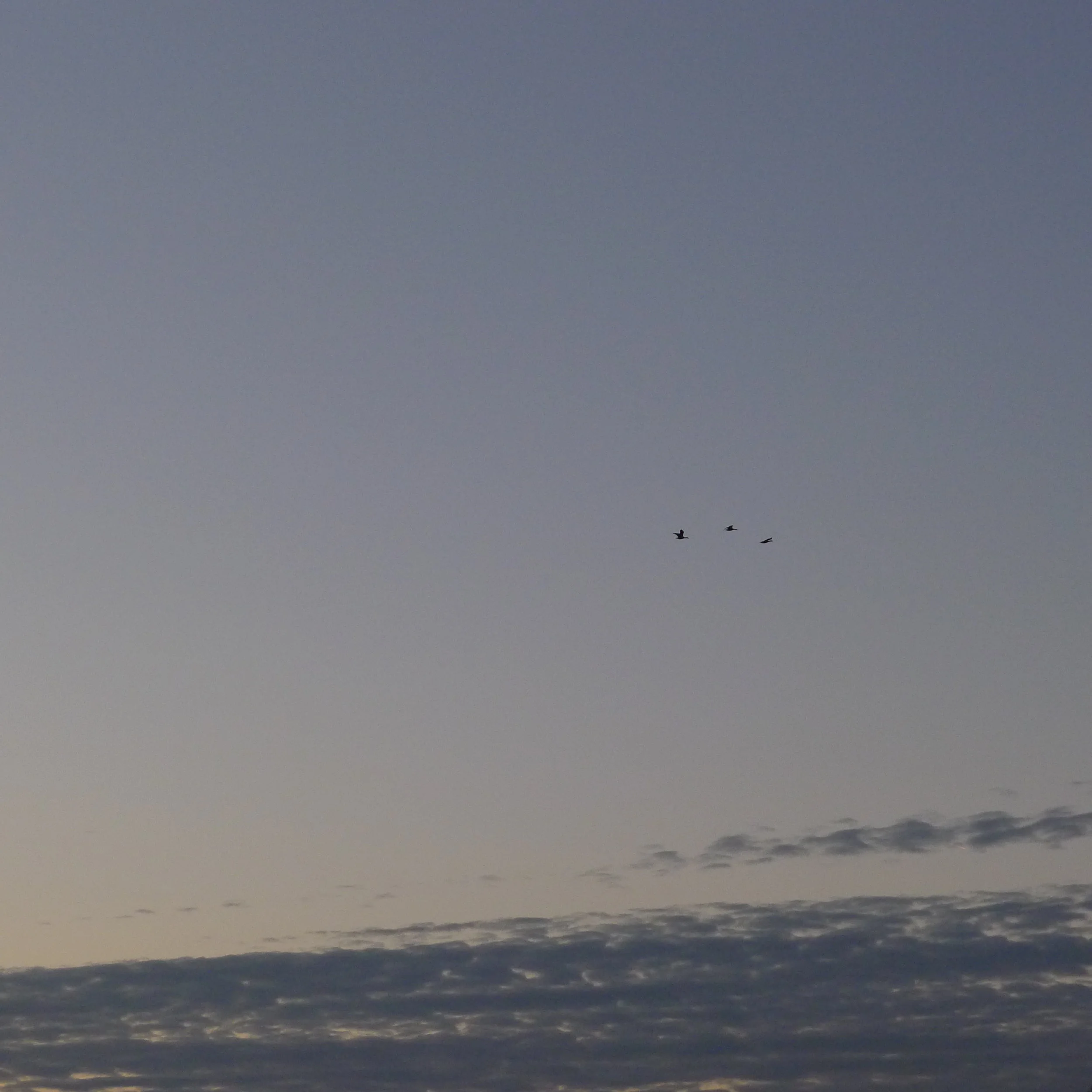 Morning Meditation Sit — Iyar Week 1