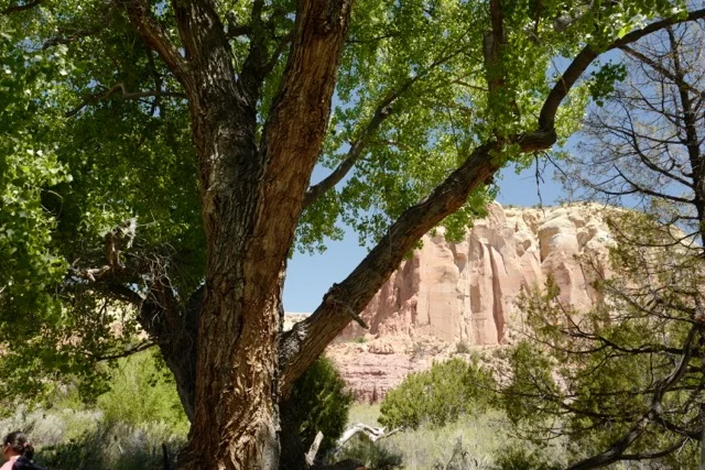 Morning Meditation Sit — The Other Side of Sinai — Sivan Week 2