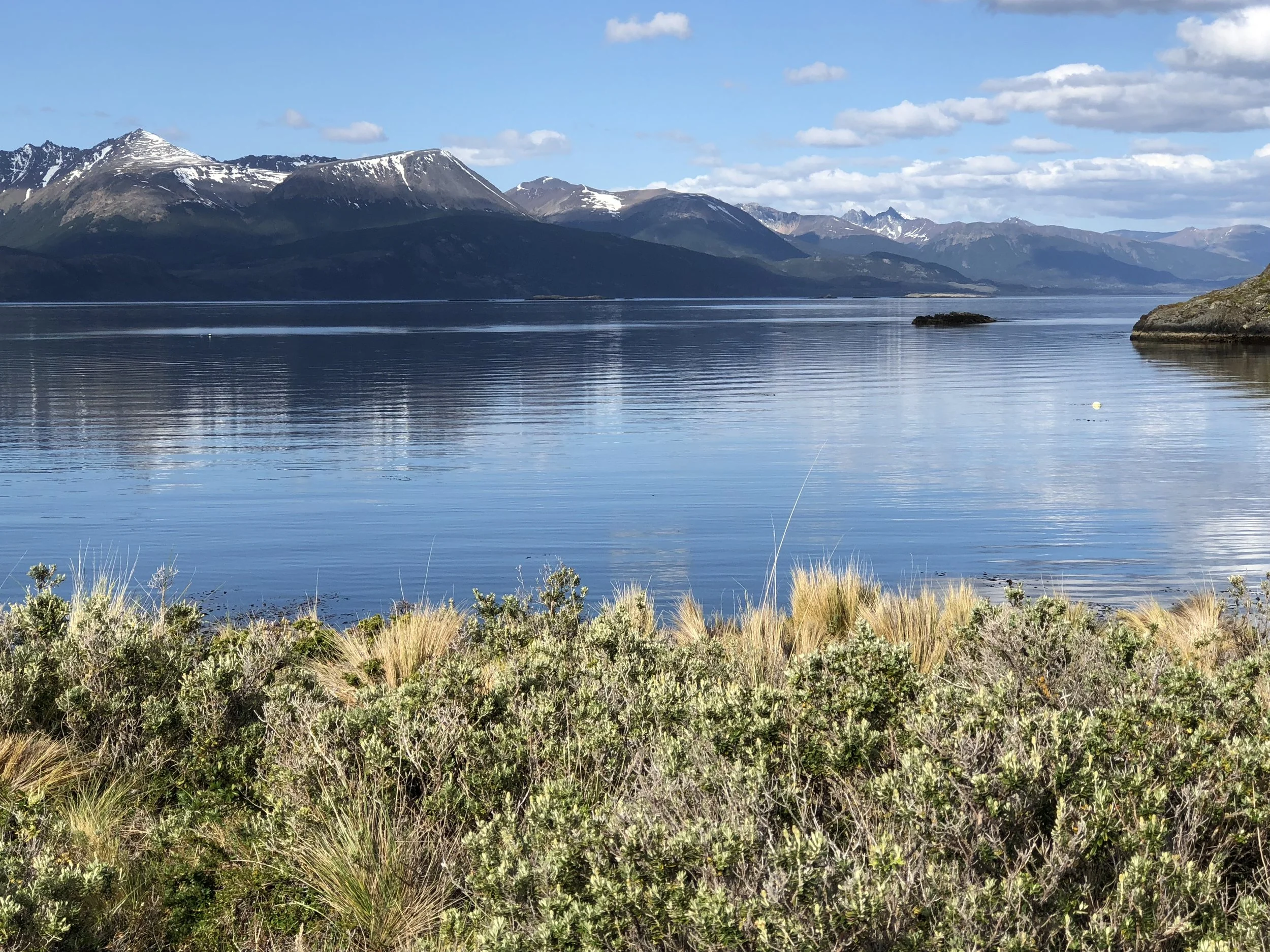 Morning Meditation Sit —  The Waters of Life  —  Tammuz Week 2