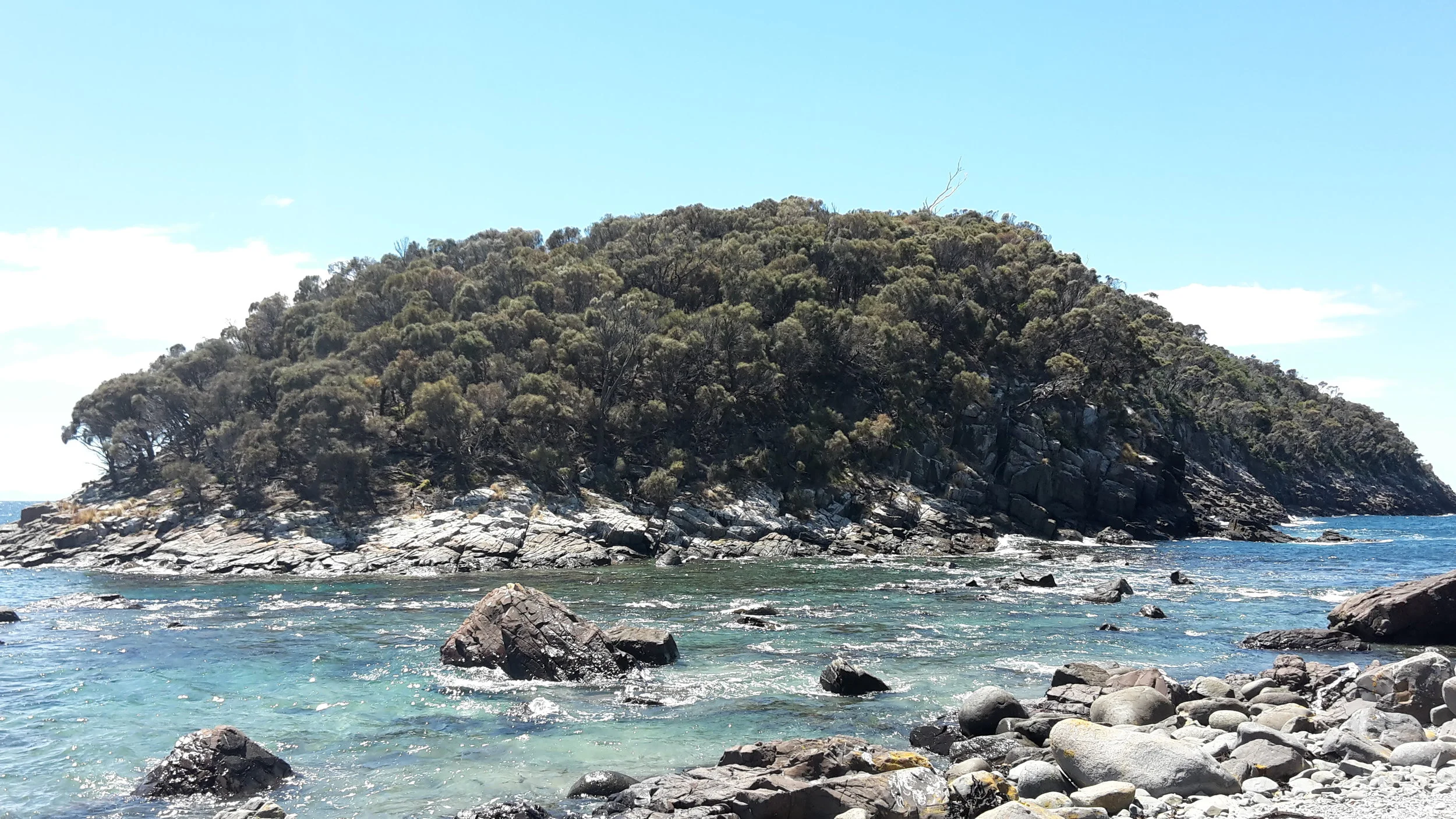 Morning Meditation Sit — Noticing Messengers   —  Tammuz Week 3