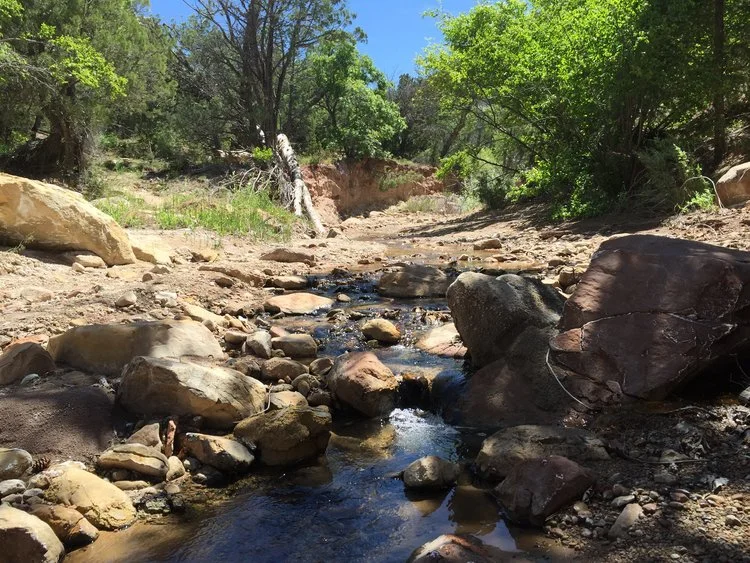Morning Meditation Sit — May We GatherWhat We Discovered