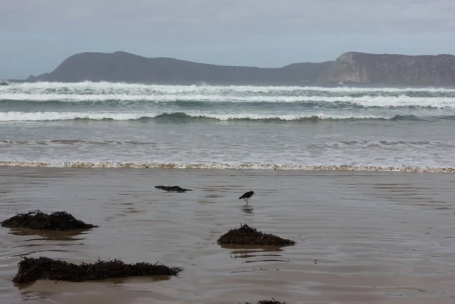 Rosh Hashanah 5780 — Sounds of Silence 