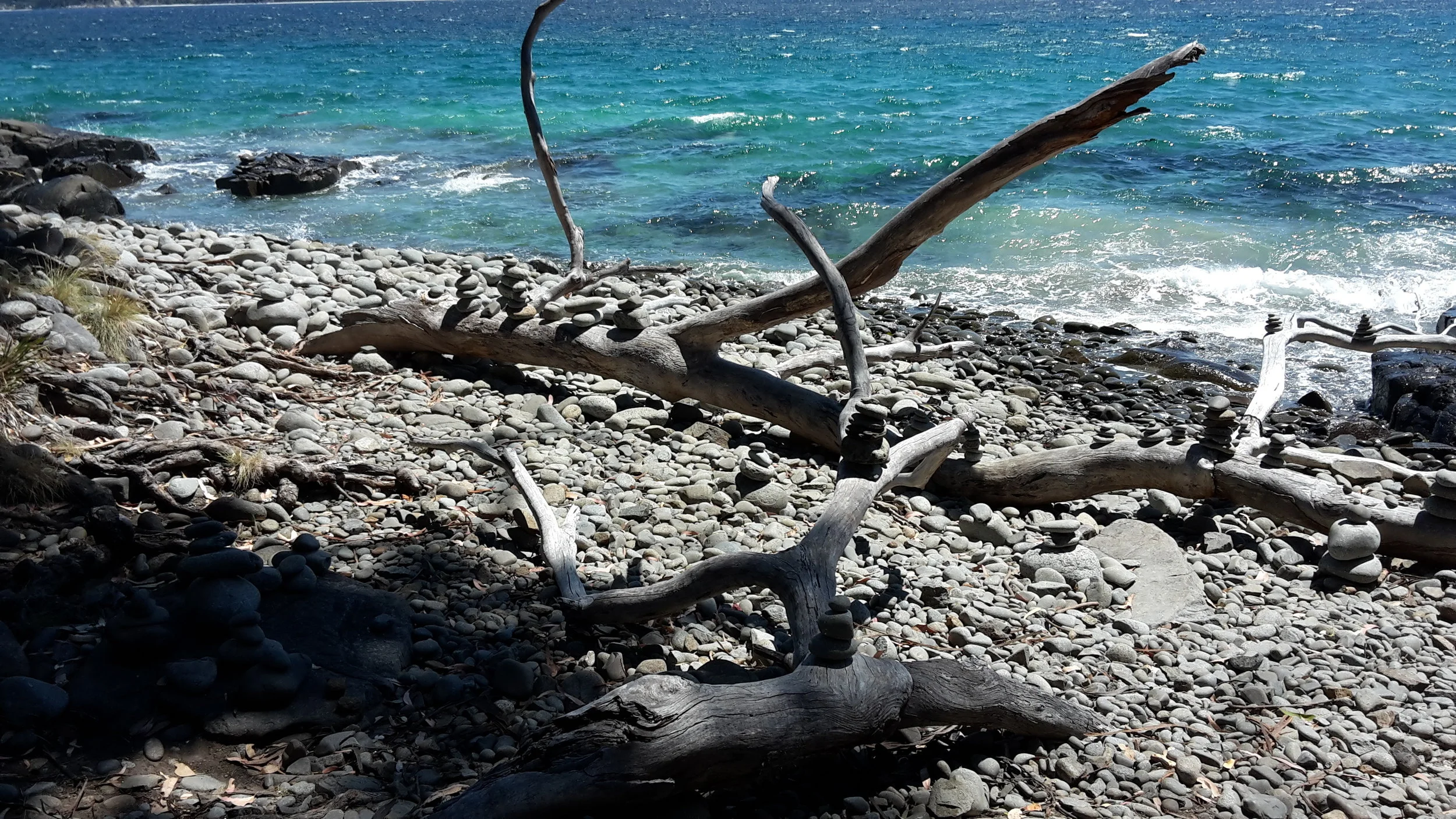 Morning Meditation Sit — Stories of the Mind 