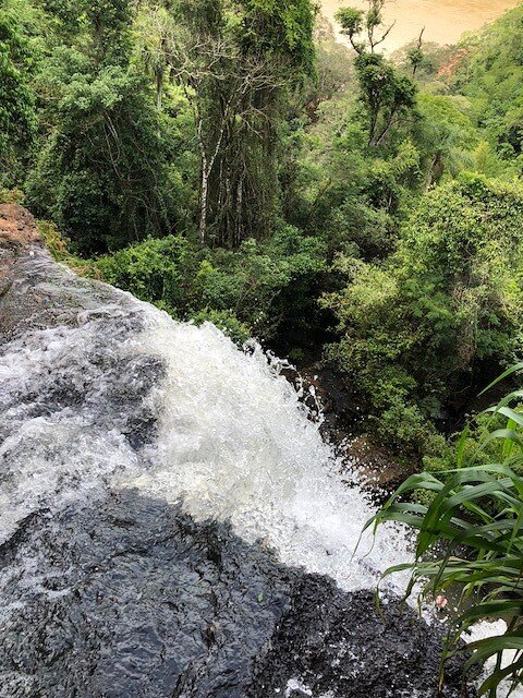 Morning Meditation Sit — In this Place, In this Moment 