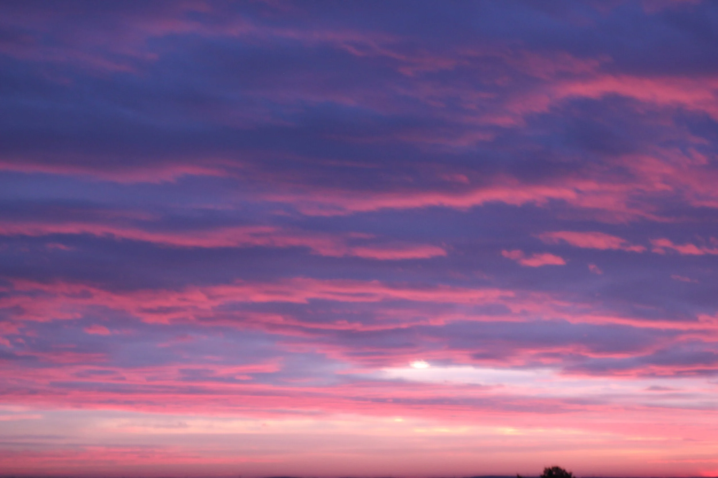  5780 Chanukah Day 3 — Or Rachamim — Sitting in the Light of Compassion 