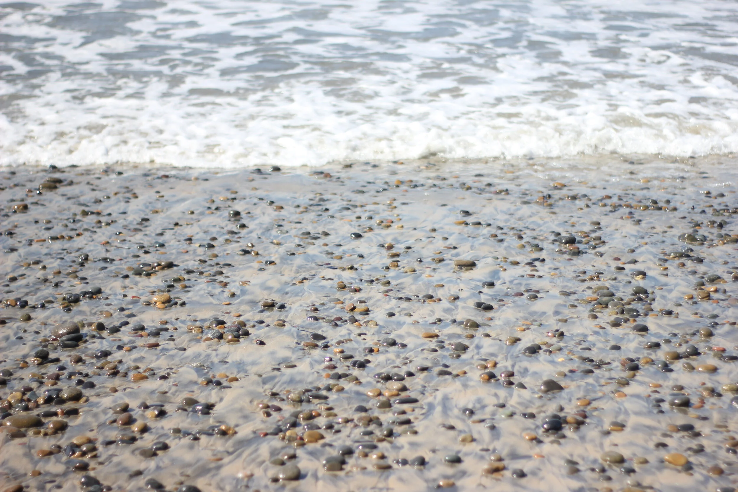 Morning Meditation Sit — Rising Fear 