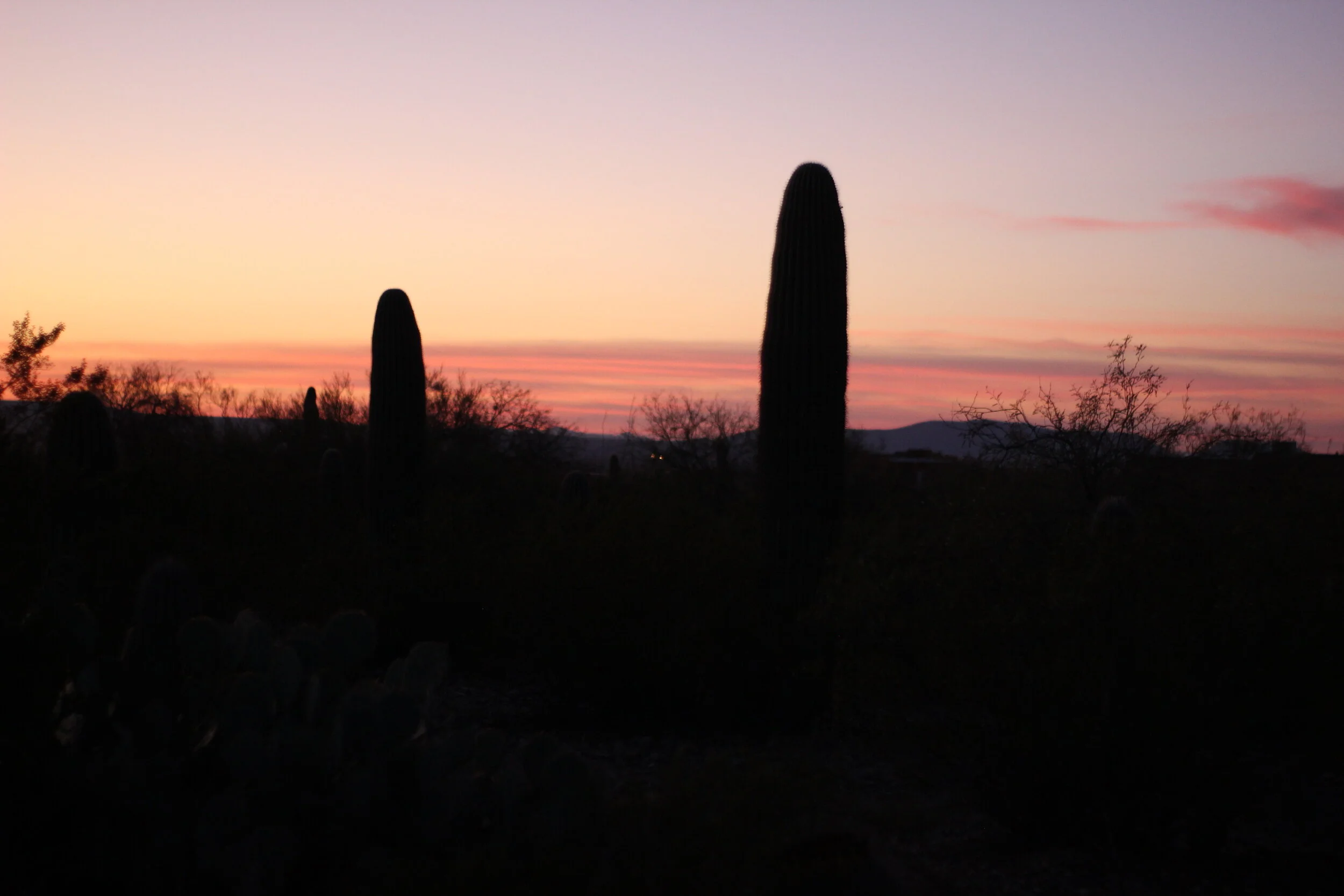 Morning Meditation Sit — Always-Fire 