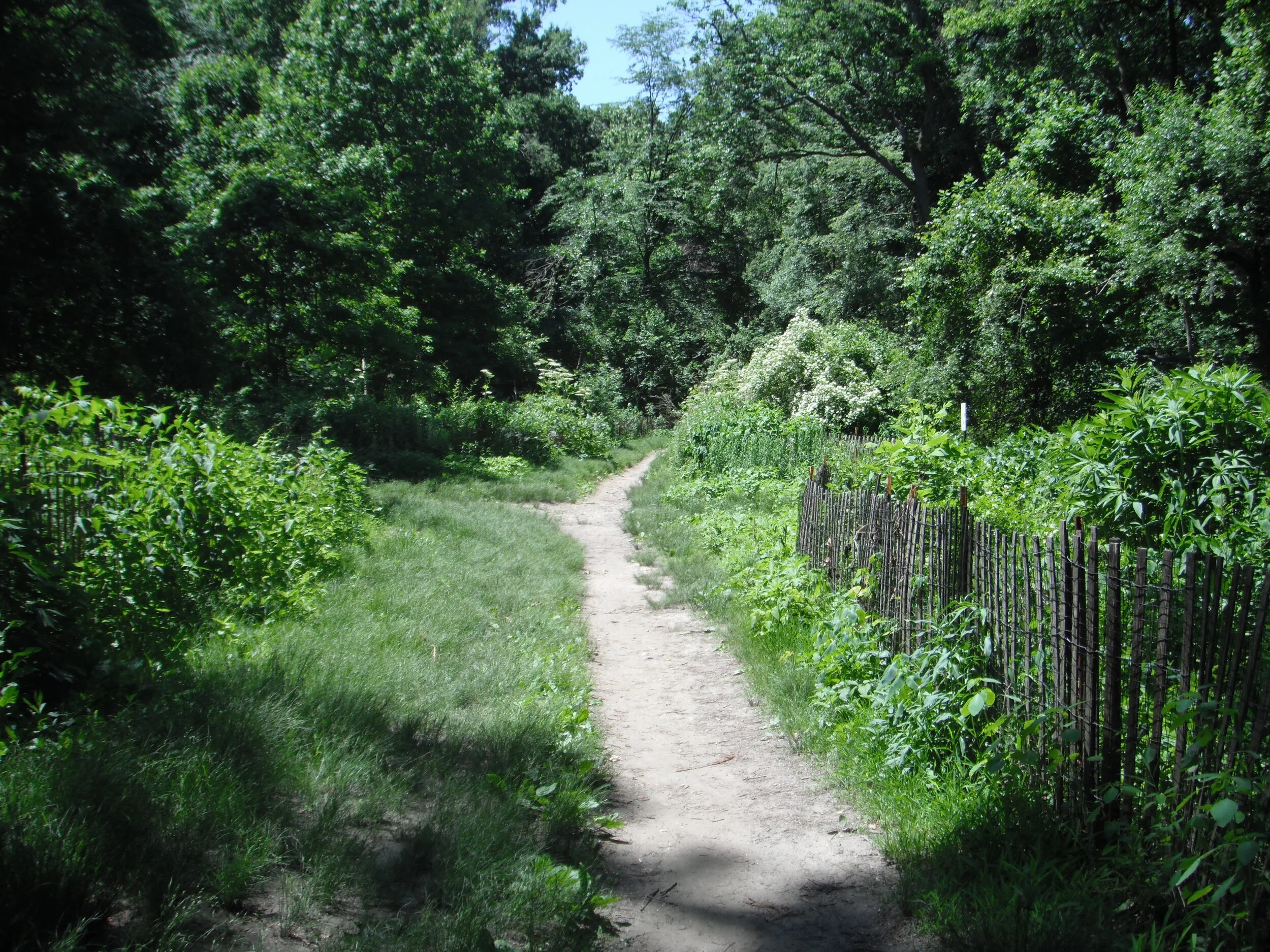Morning Meditation Sit  