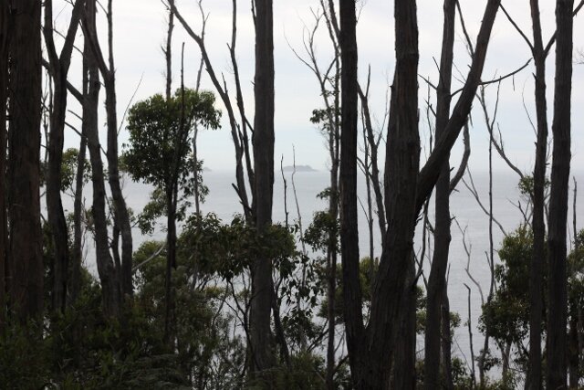 Omer Morning Meditation Sit — Last Day of Gevurah