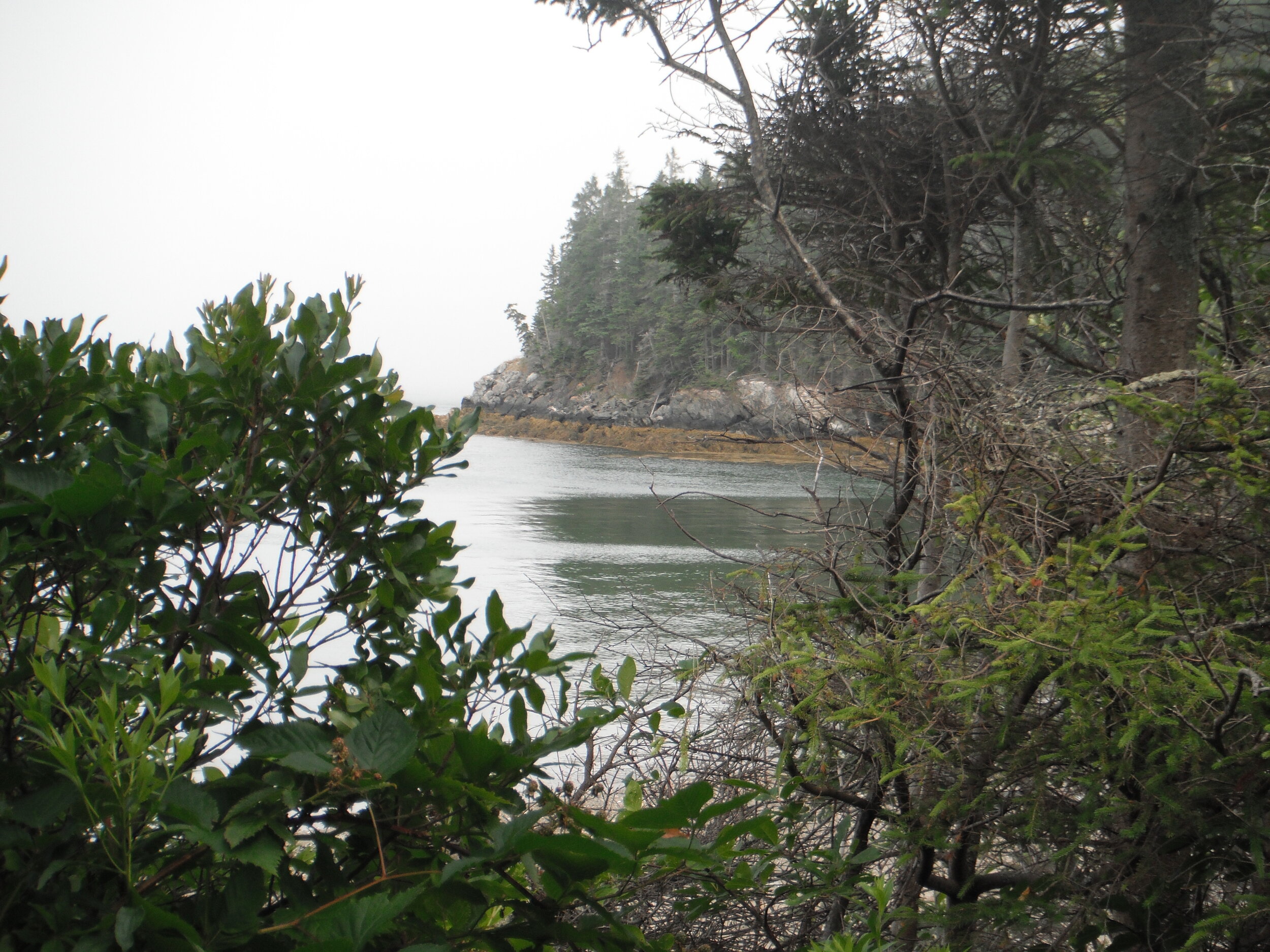 Omer Morning Meditation Sit — Last Day of Netzach