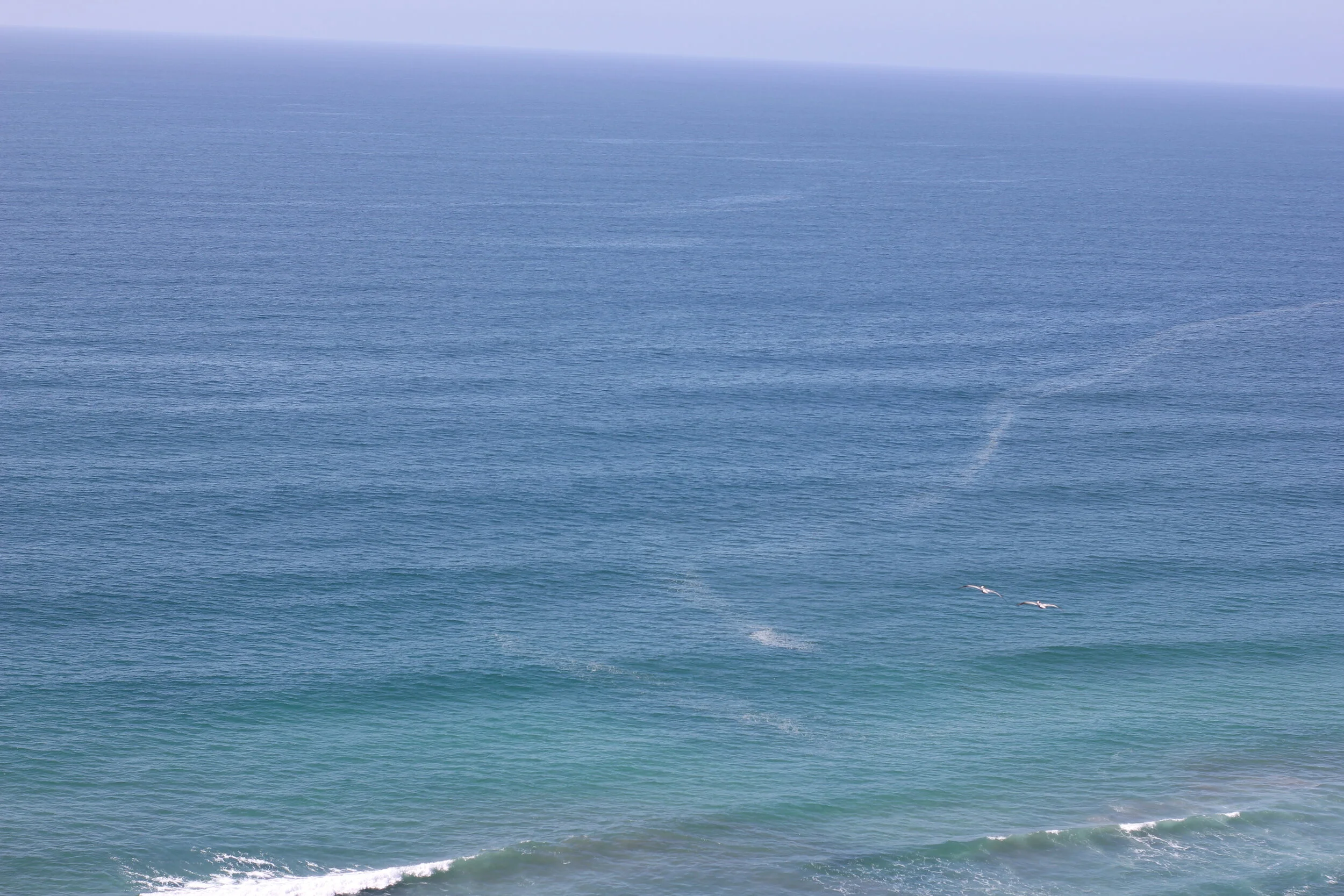 Morning Meditation Sit: Mayim Hayim 