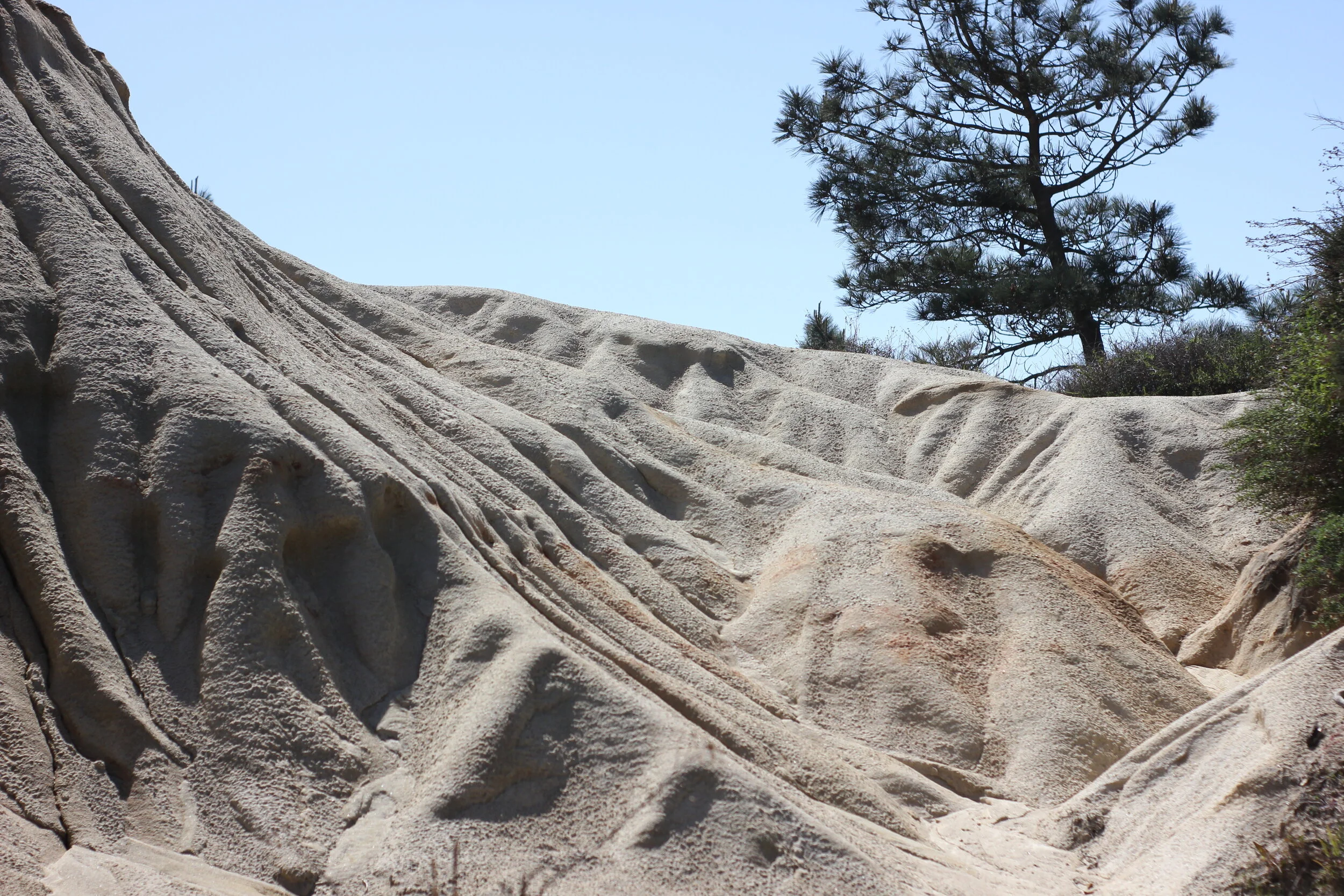 Challenges of the Wilderness 