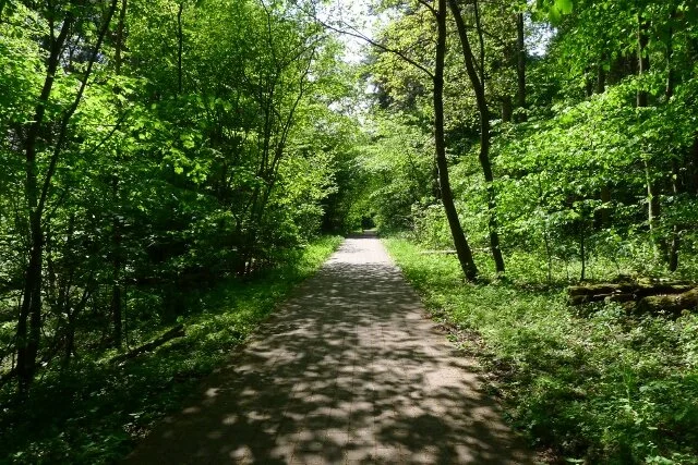 Morning Meditation Sit: After Tisha B'av - A Song for the Soul 