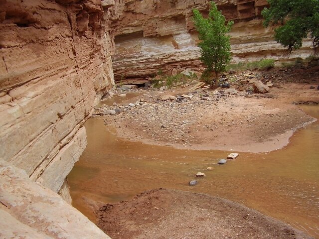 Morning Meditation Sit: Rosh Chodesh Elul 