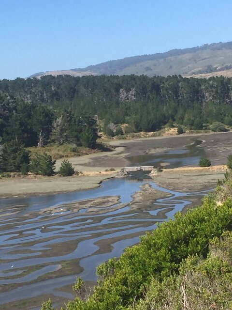 Morning Meditation Sit: As You Enter 