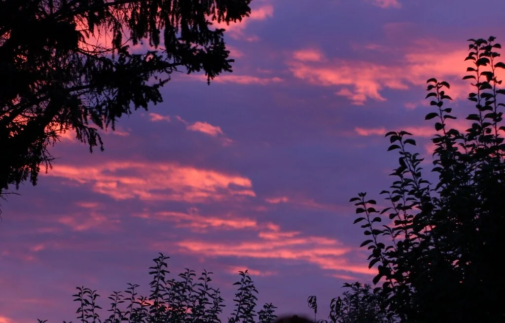 Morning Meditation Sit: Yom Kippur