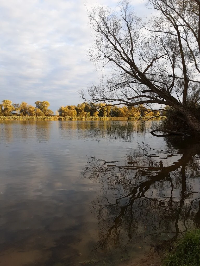 Morning Meditation Sit: Journey of the Heart 