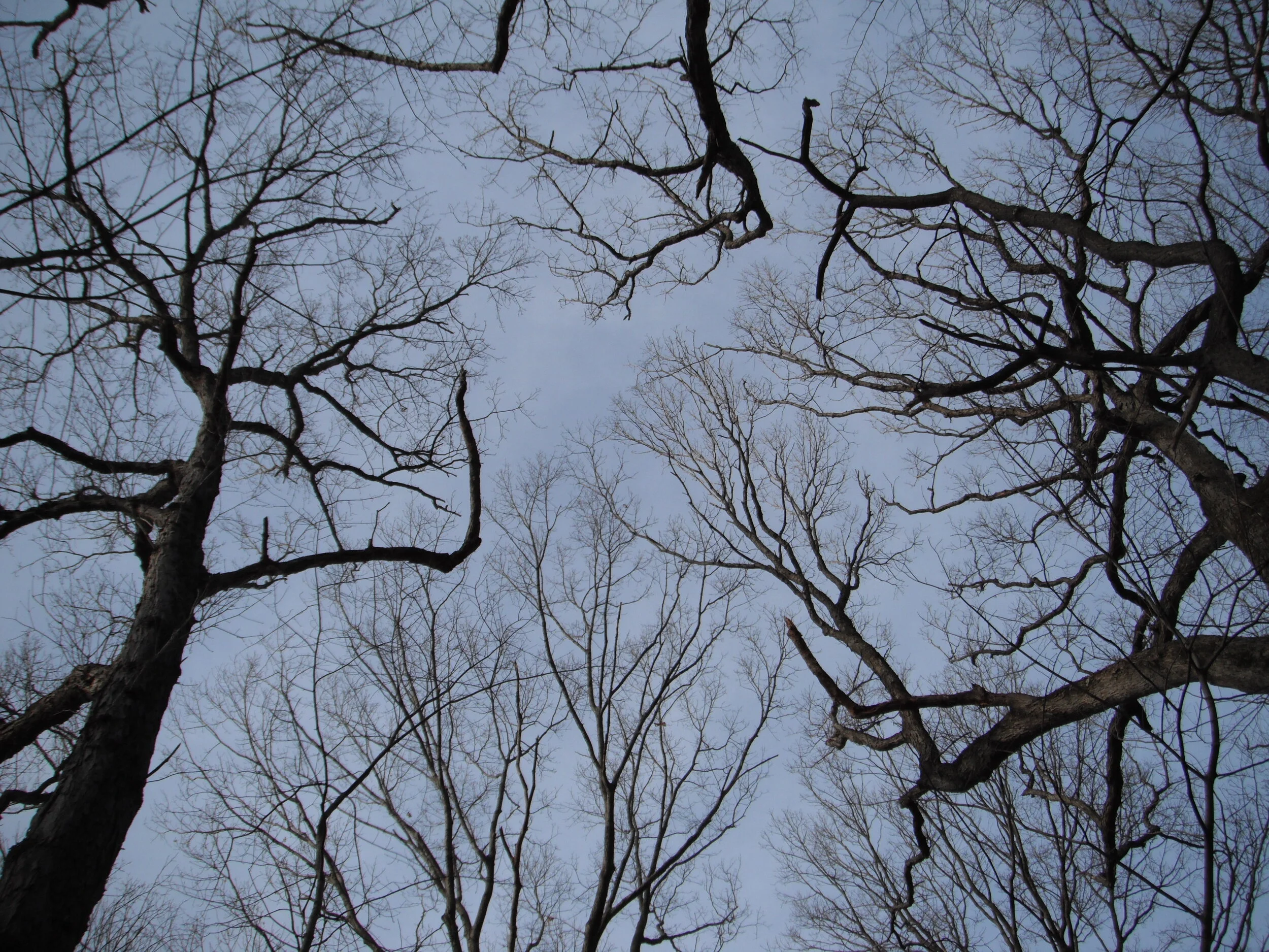 Morning Meditation Sit - 7th Day of Chanukah