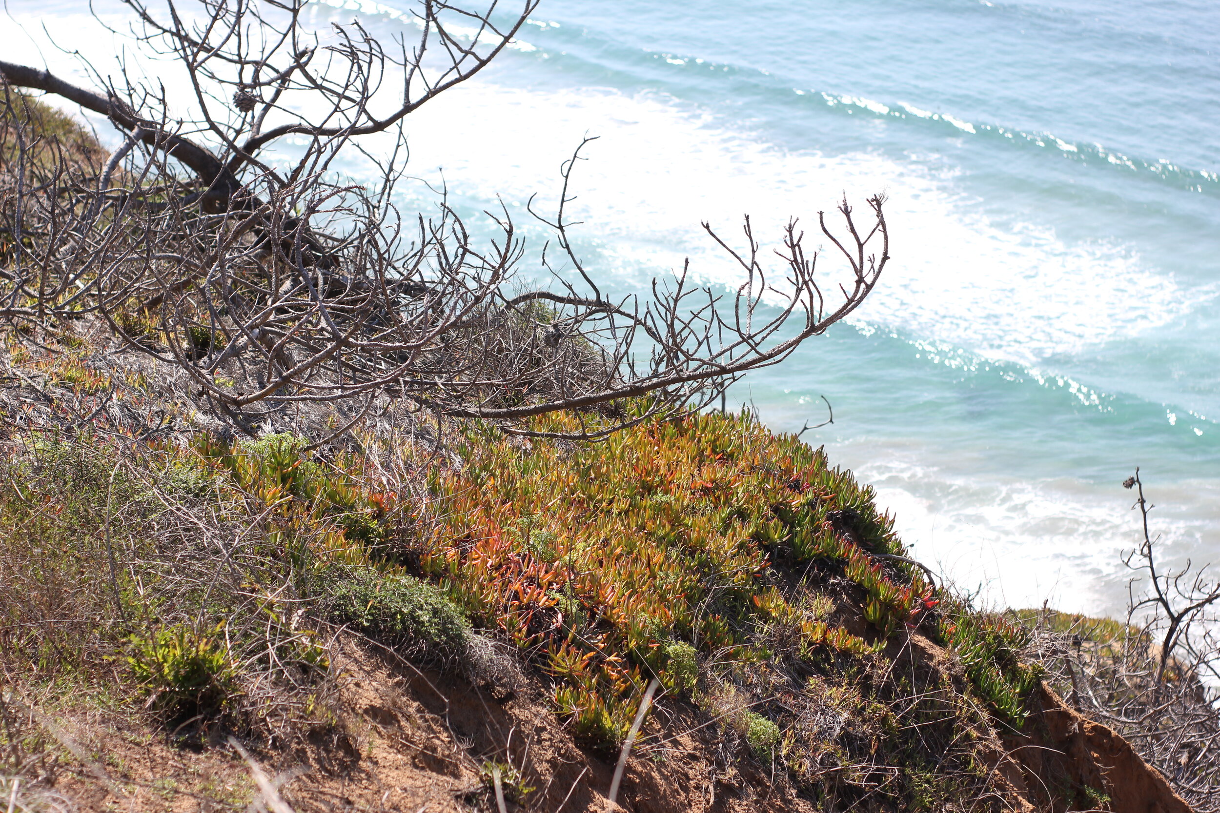 Morning Meditation Sit: Hineini