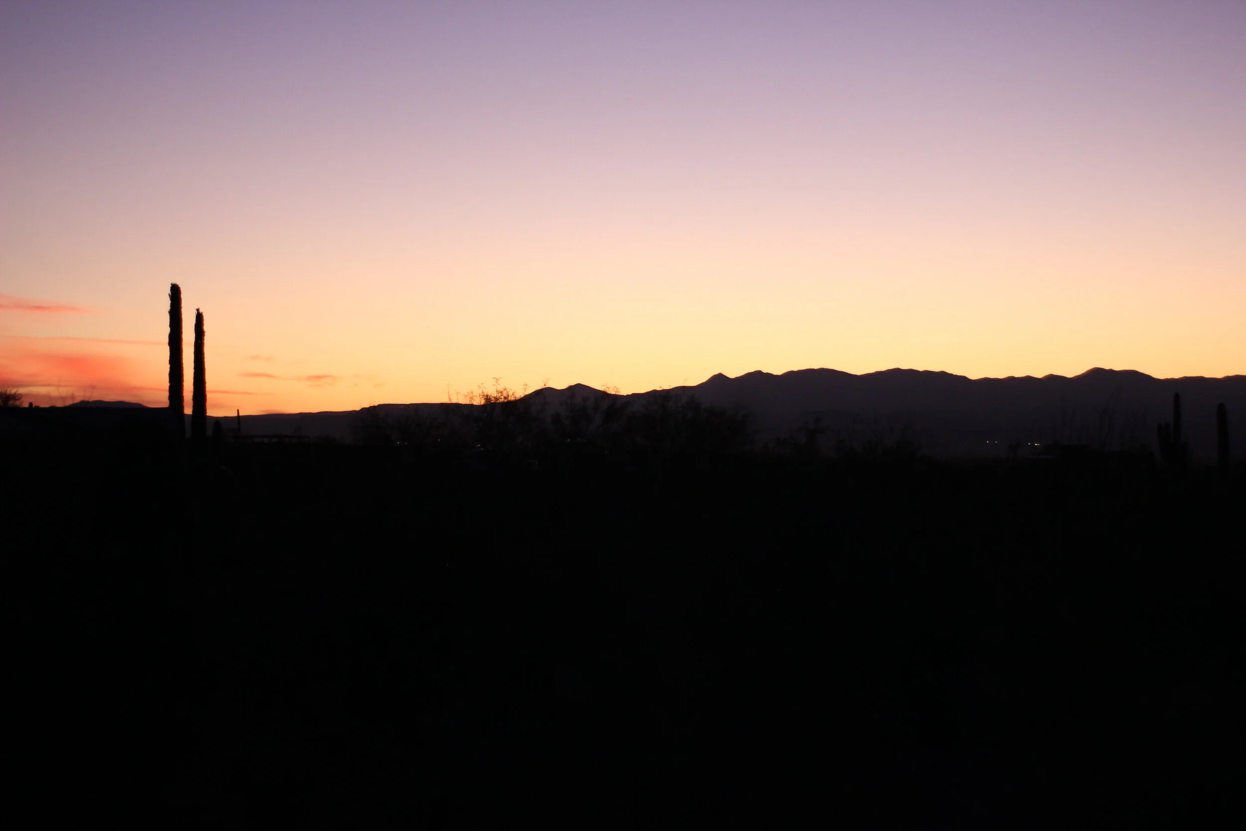 Torah Study: Tetzaveh