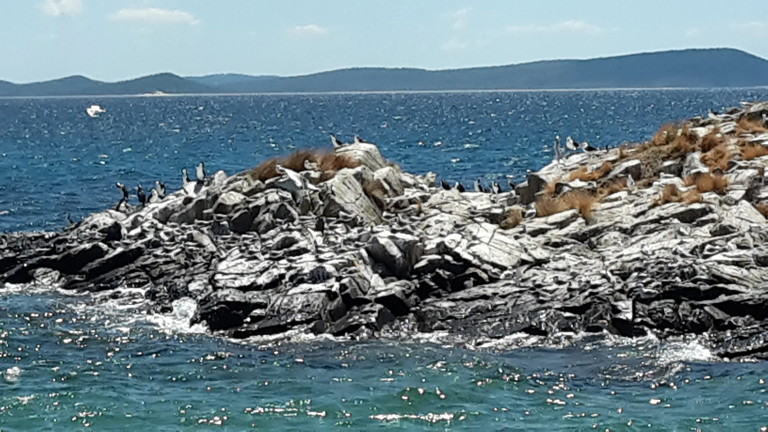 Morning Meditation Sit: Purim 