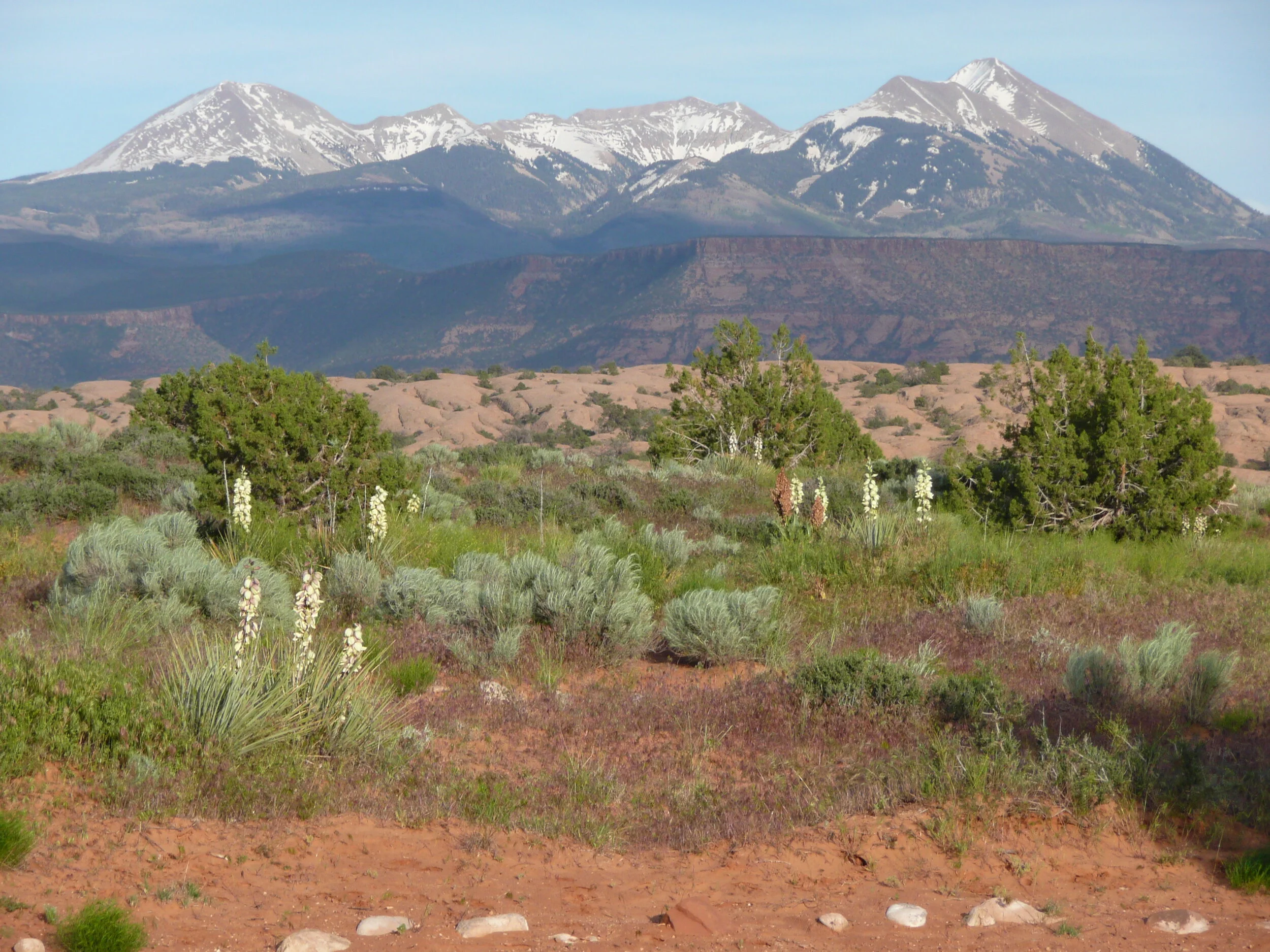 Morning Meditation Sit 