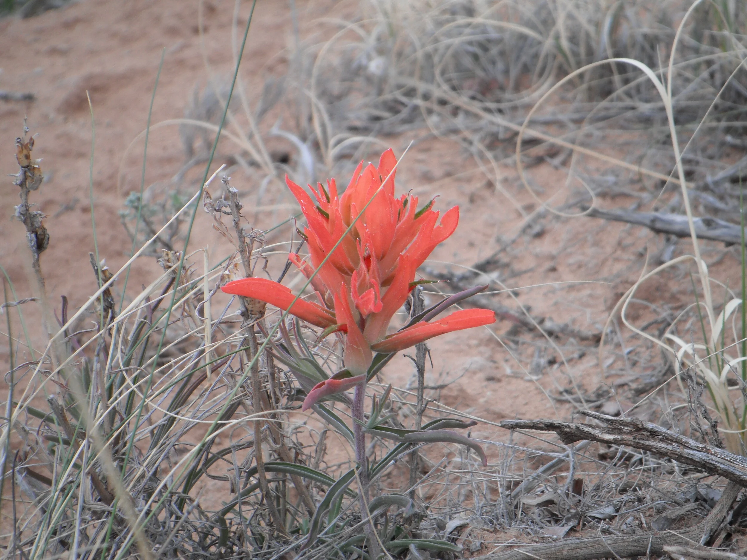 Torah Study: Vayakhel - Pekudei 