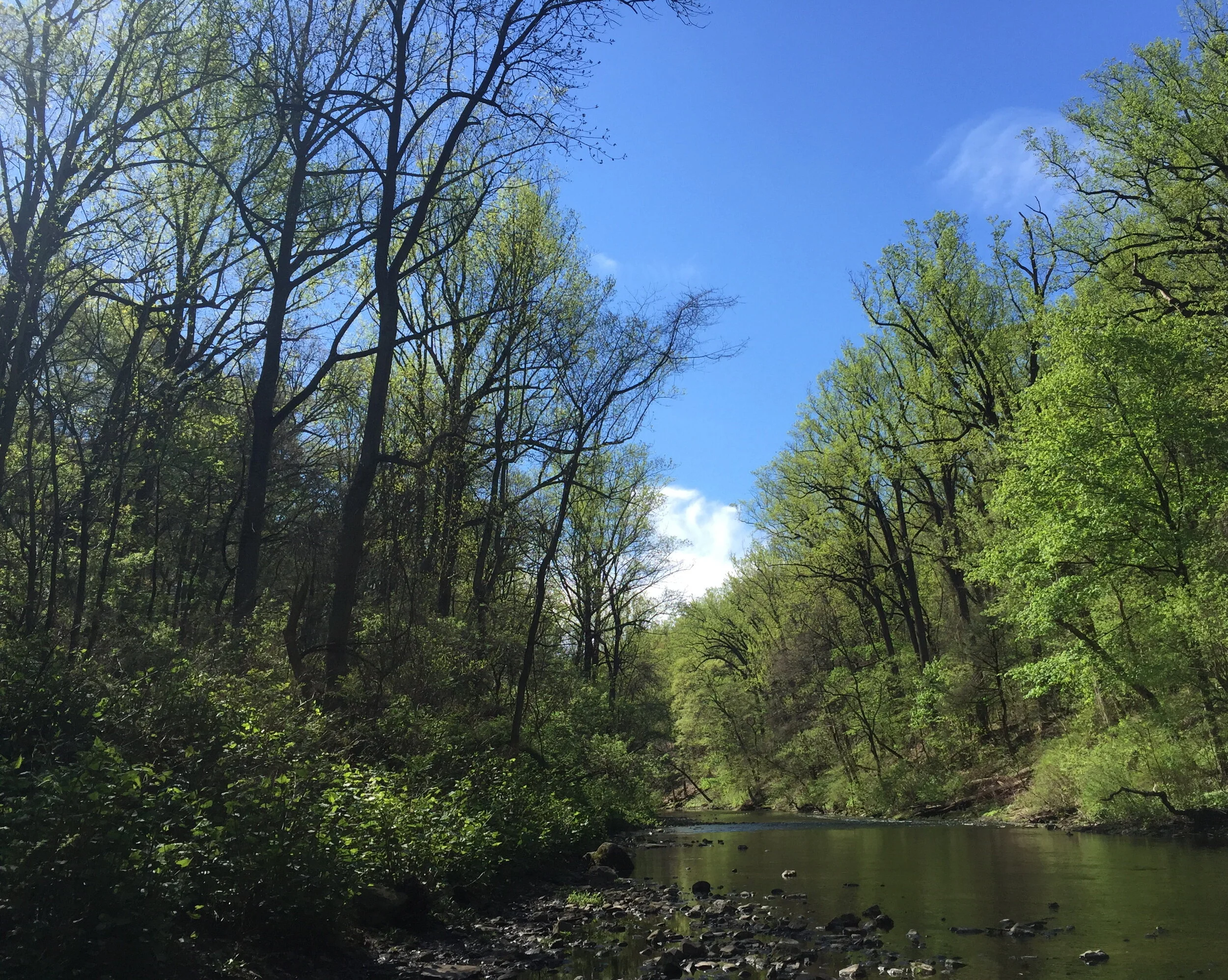 Morning Meditation Sit: Pesach