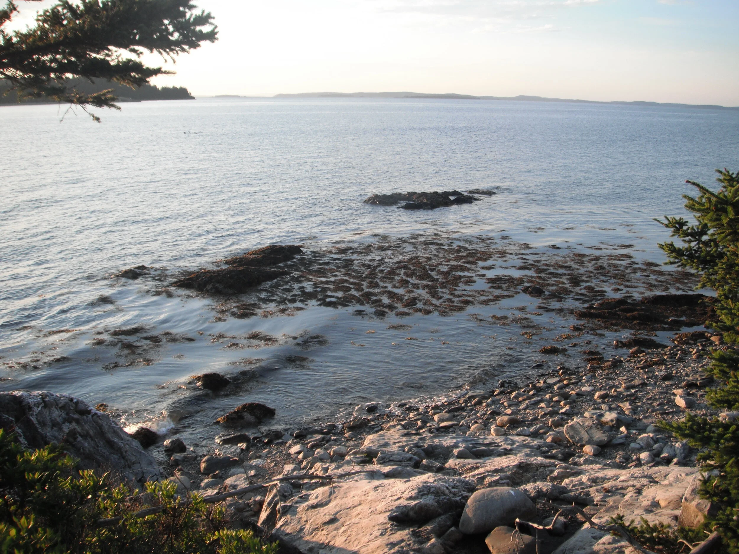 Looking Toward Yom Kippur 