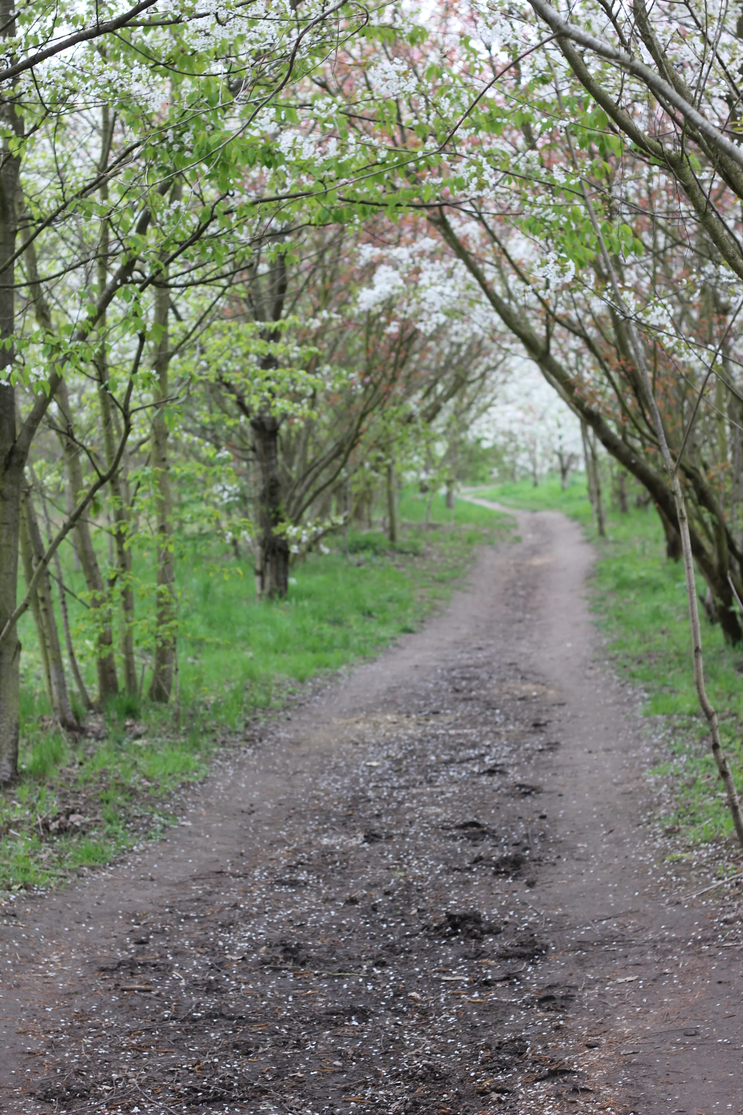 Morning Meditation Sit